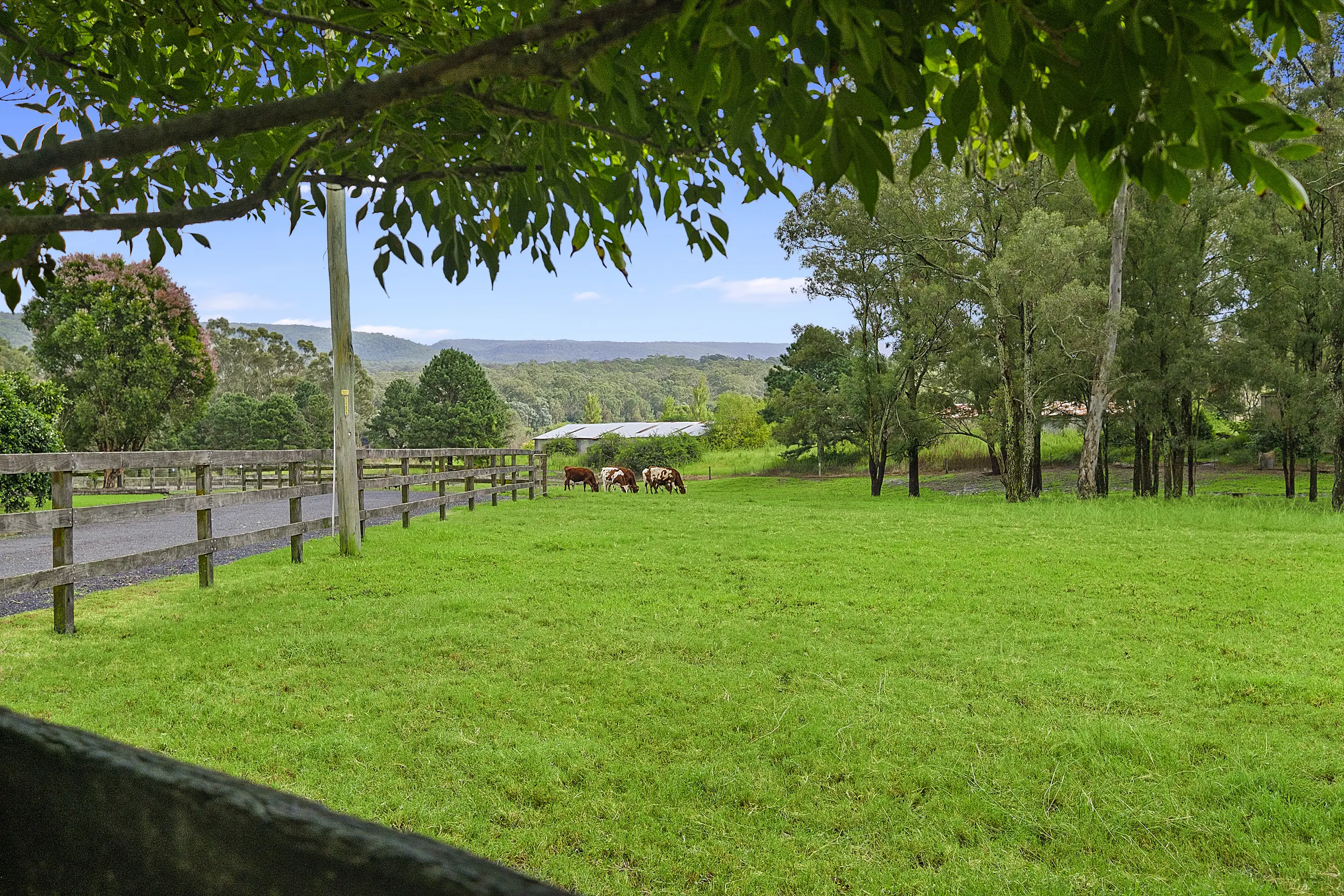 990-1002 Castlereagh Road, Castlereagh Sold by Cutcliffe Properties - image 3