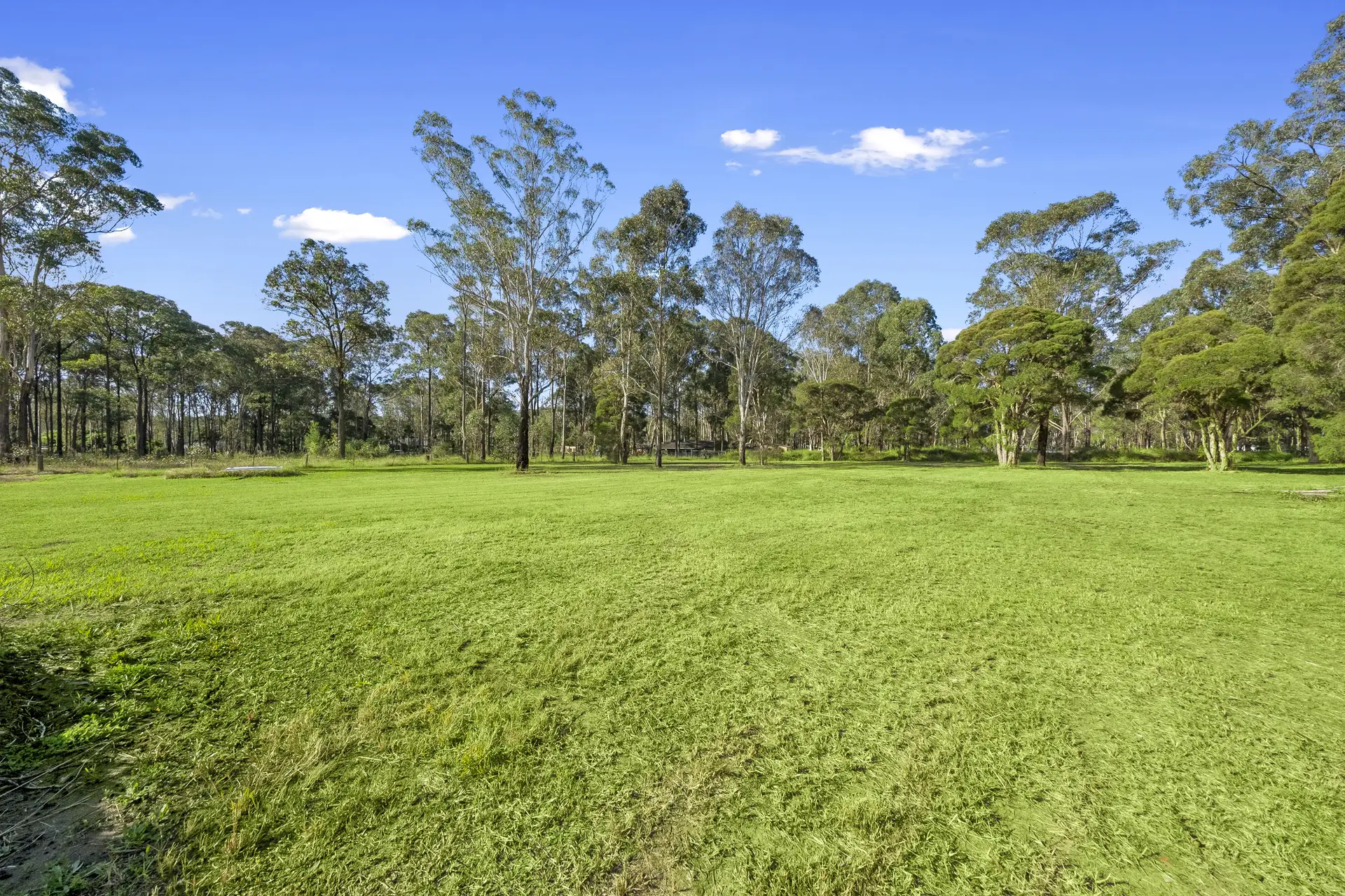 100 Shepherds Road, Freemans Reach Sold by Cutcliffe Properties - image 1