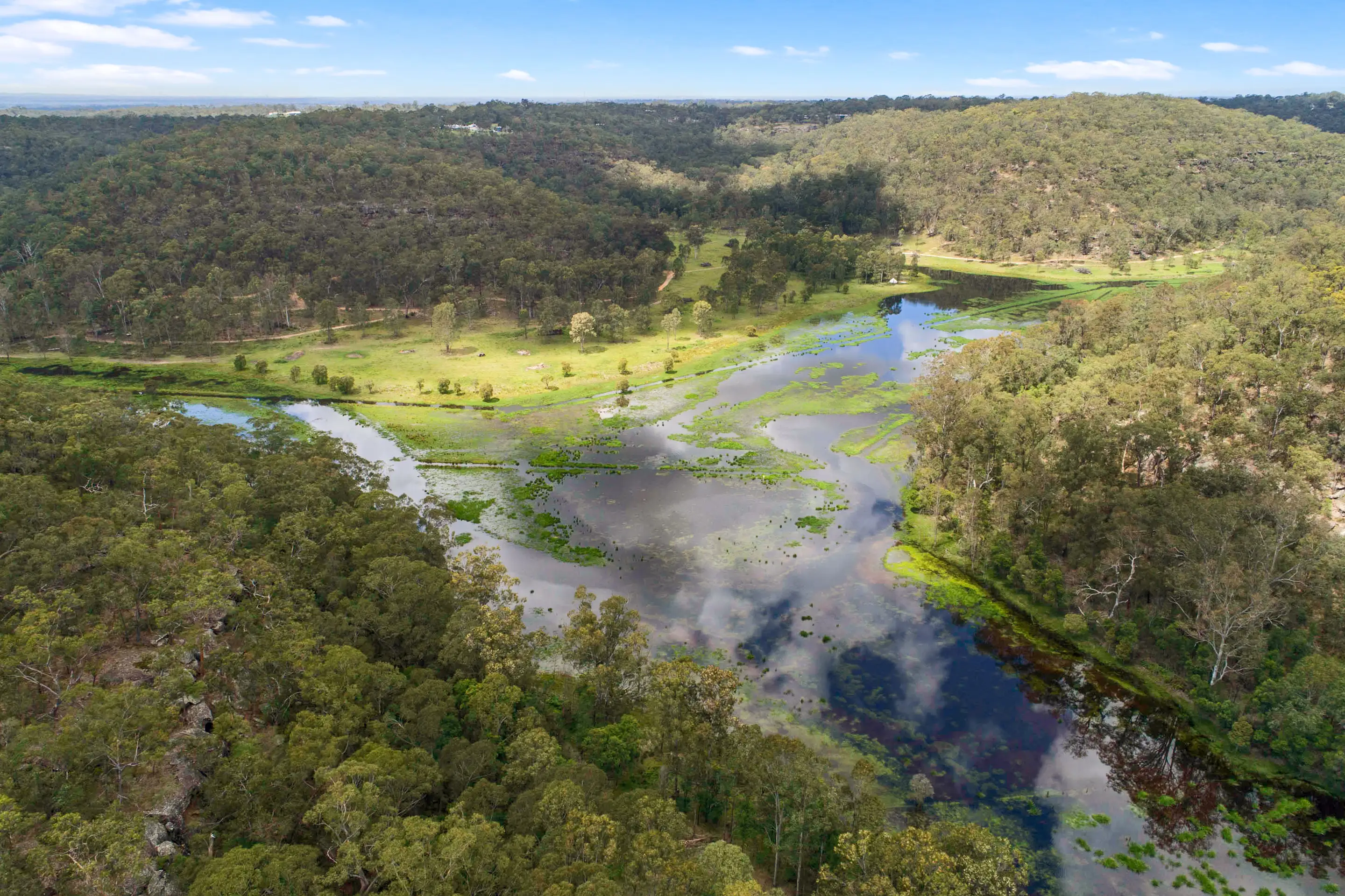 Blaxlands Ridge Sold by Cutcliffe Properties - image 10