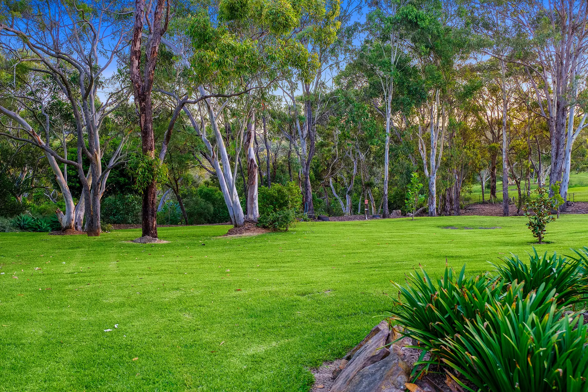 6 Whites Ridge Road, Annangrove Sold by Cutcliffe Properties - image 1