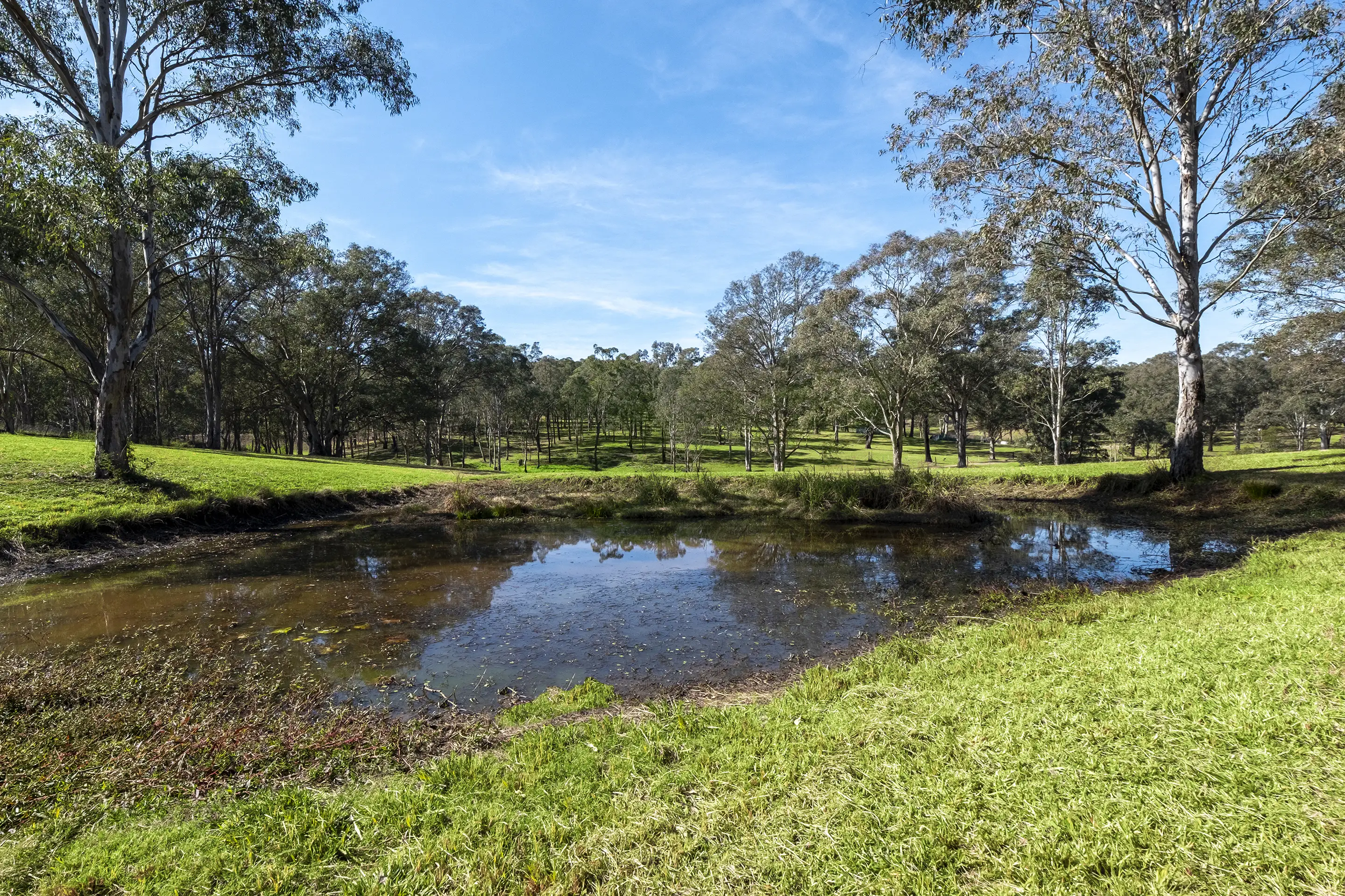 Proposed Lot 2, 433 Grose Vale Road, Grose Vale Sold by Cutcliffe Properties - image 6