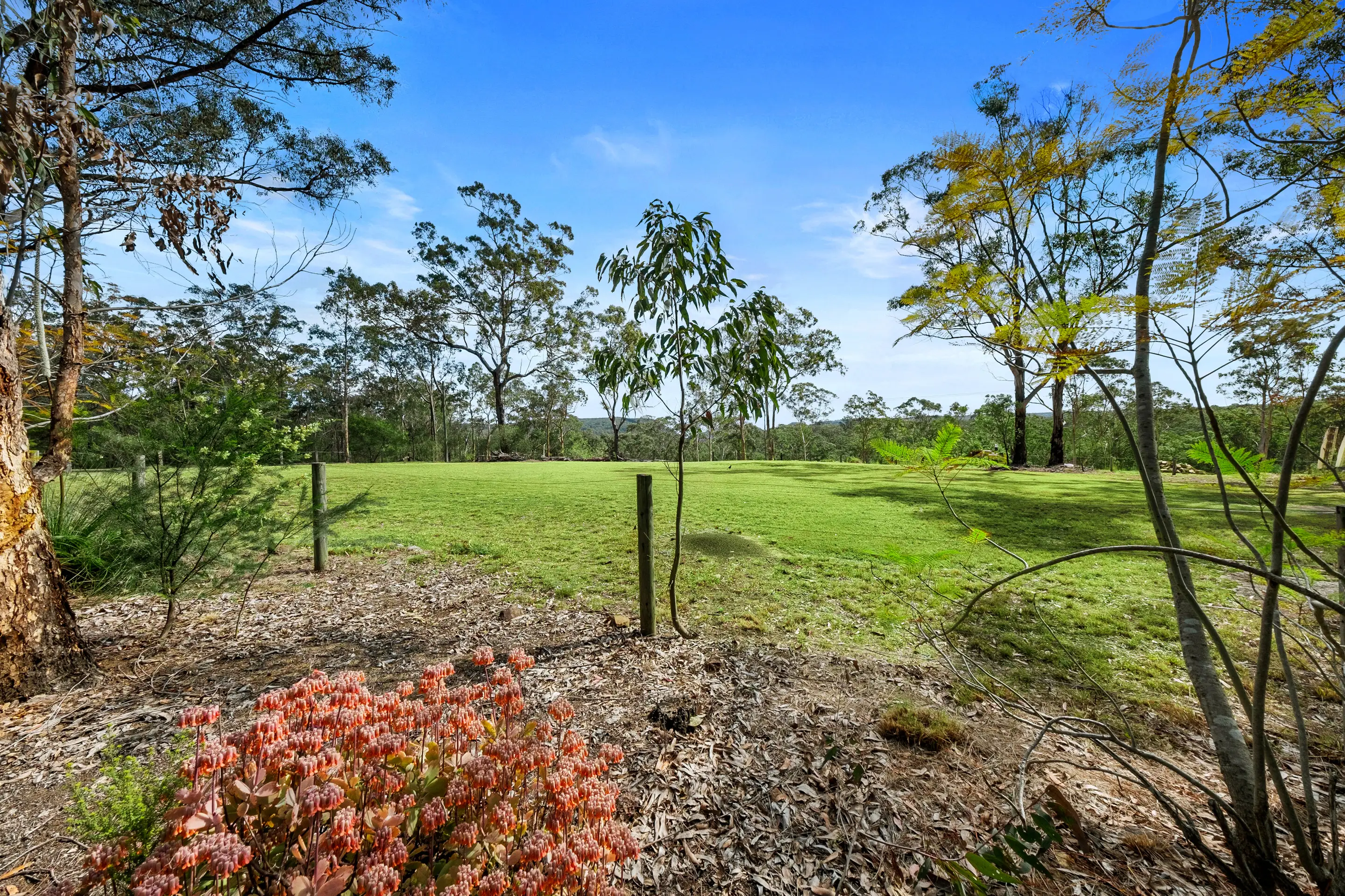 93 Mahons Creek Road, Yarramundi Sold by Cutcliffe Properties - image 3