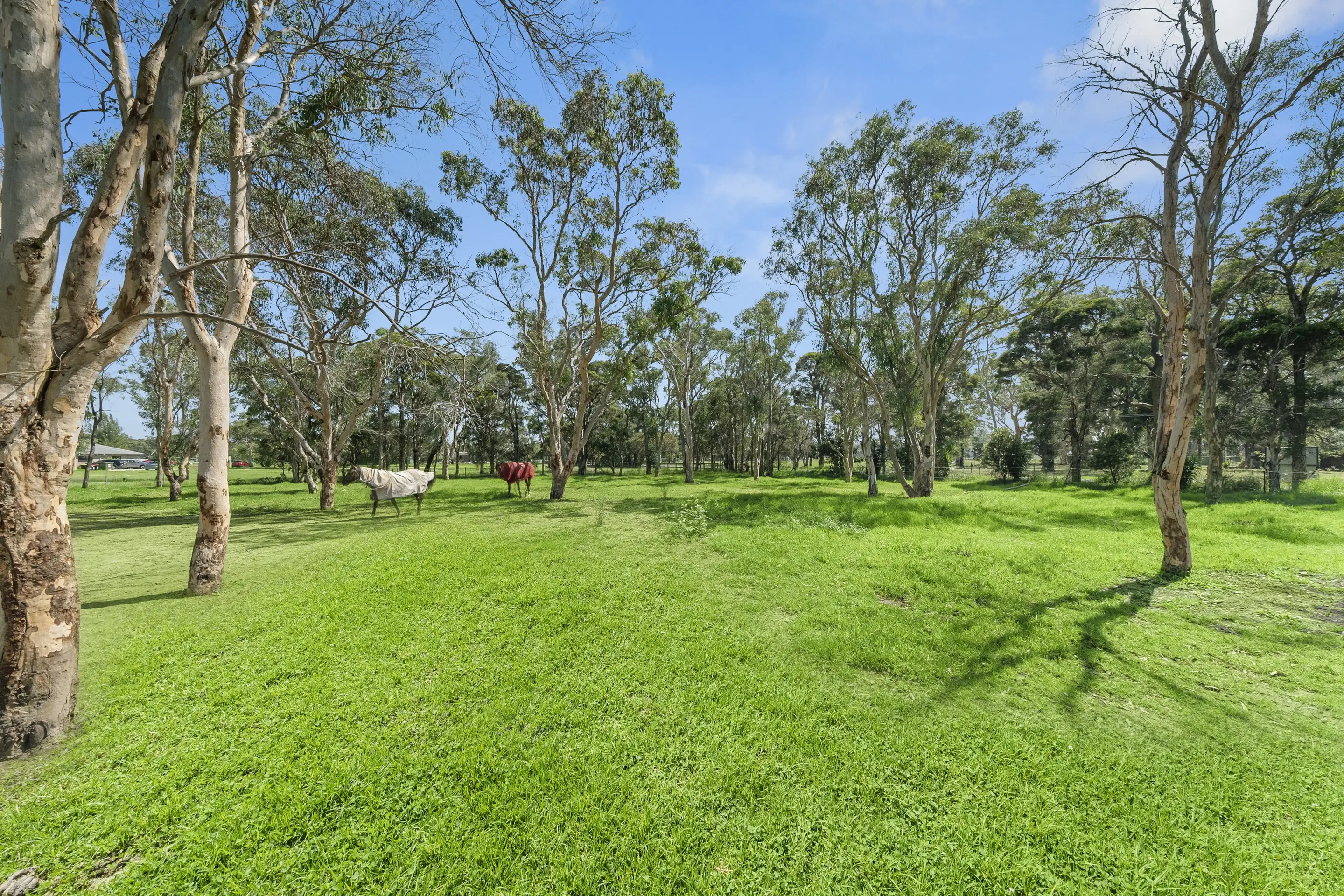19-25 First Road, Berkshire Park Sold by Cutcliffe Properties - image 1