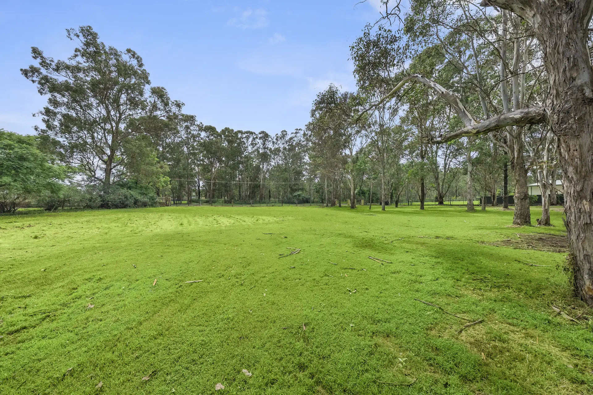 Proposed Lot 1 Of 60 Bonner Road, Agnes Banks Sold by Cutcliffe Properties - image 1