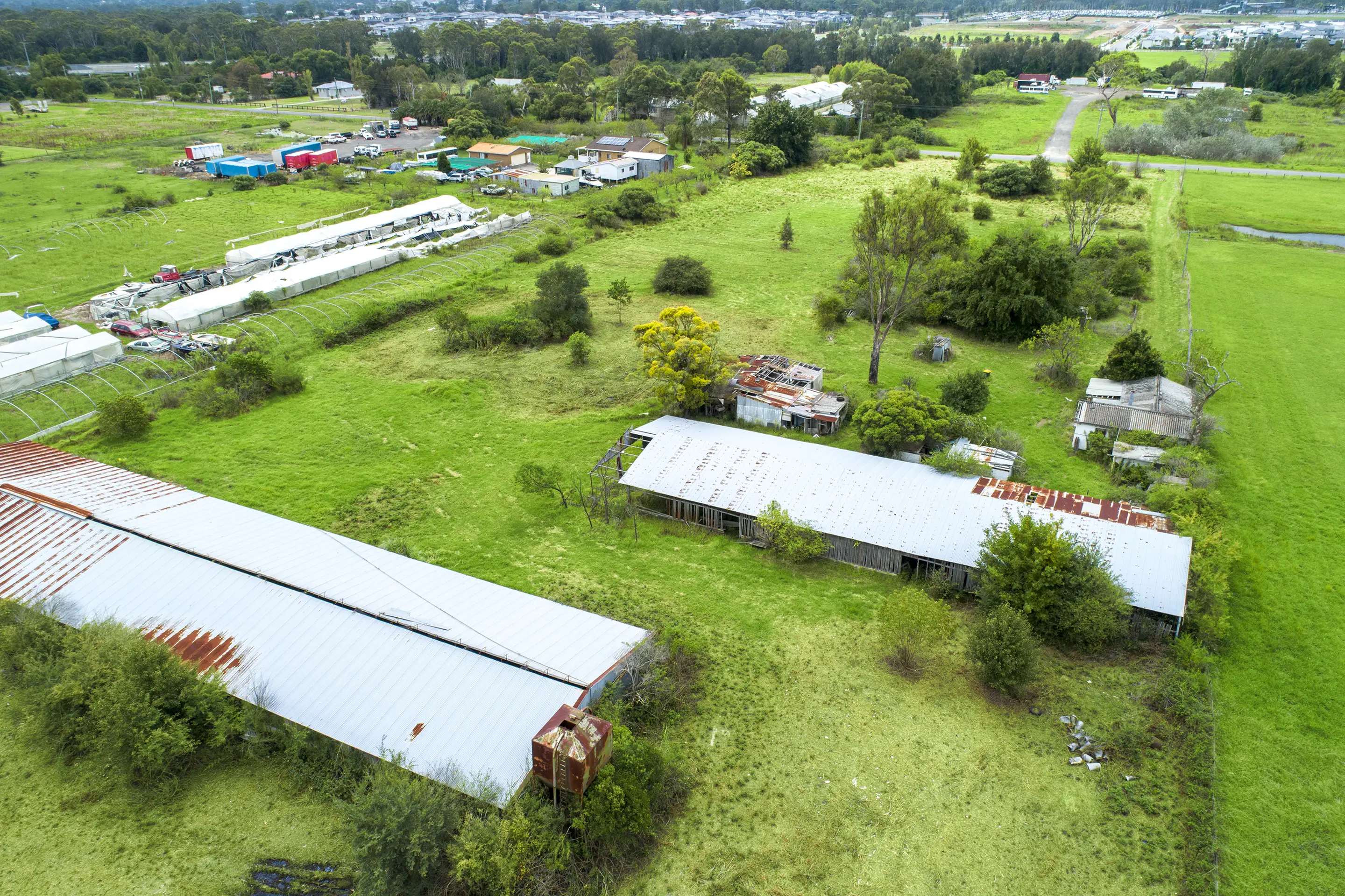 36 Kerry Road, Schofields Sold by Cutcliffe Properties - image 3