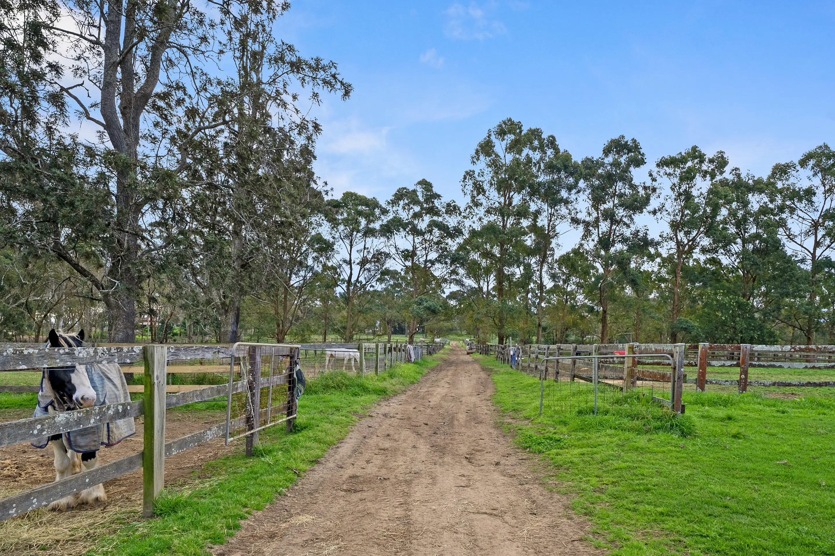 Sherbrooke Farm 325 Putty Road, Wilberforce Sold by Cutcliffe Properties - image 13