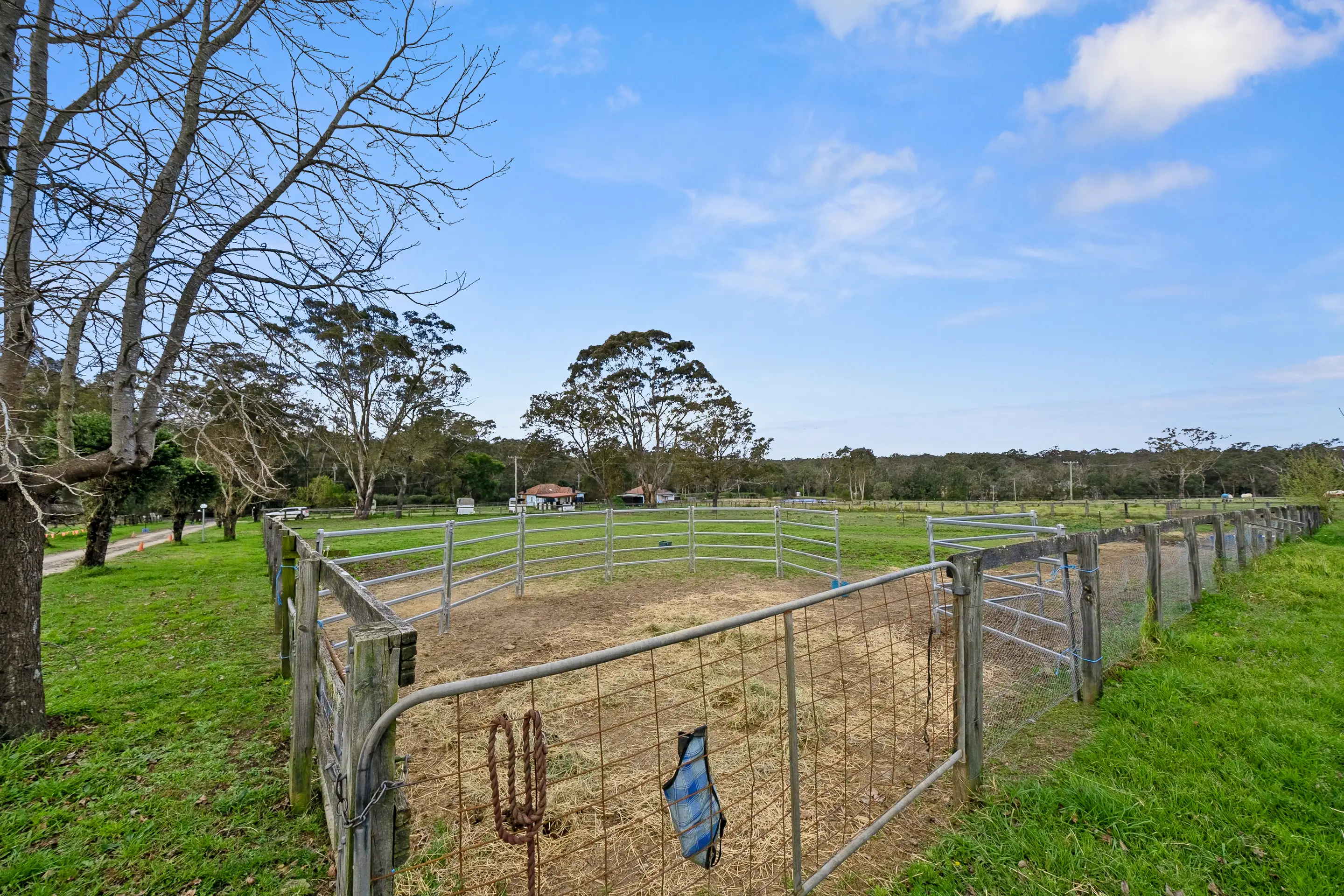 Sherbrooke Farm 325 Putty Road, Wilberforce Sold by Cutcliffe Properties - image 10
