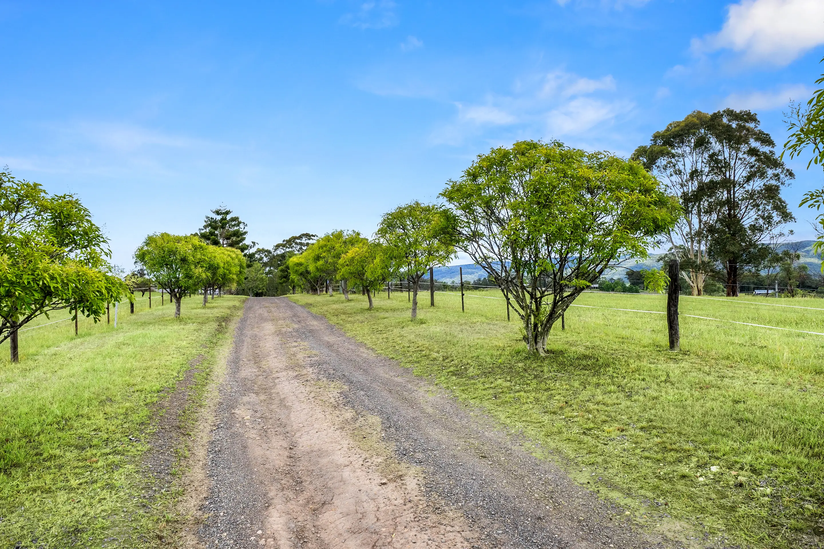 42 Cedar Ridge Road, Kurrajong Sold by Cutcliffe Properties - image 24