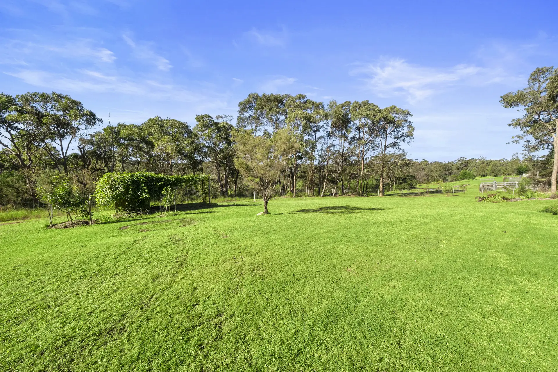 46 Kearney Road, South Maroota Sold by Cutcliffe Properties - image 1