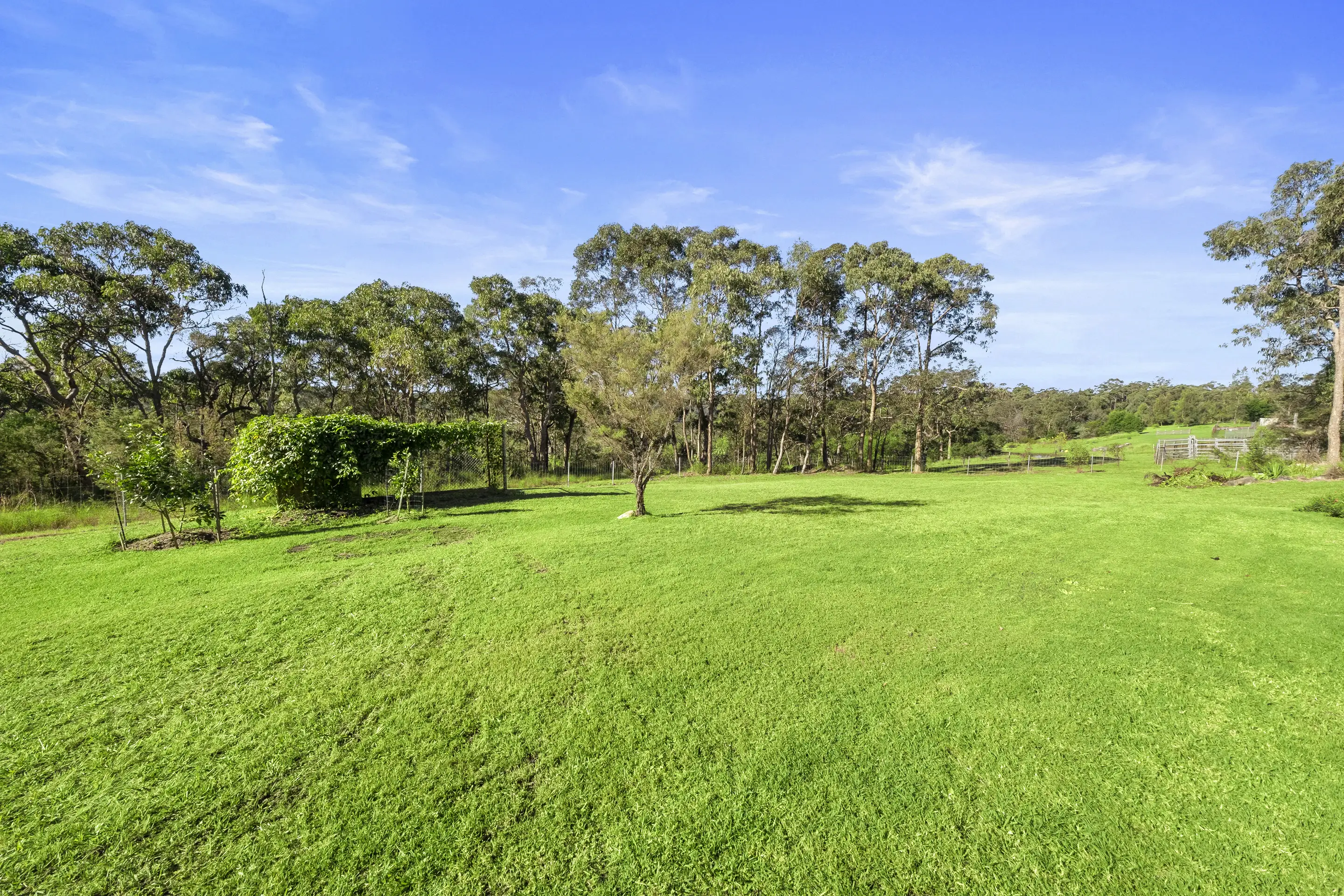 46 Kearney Road, South Maroota Sold by Cutcliffe Properties - image 17