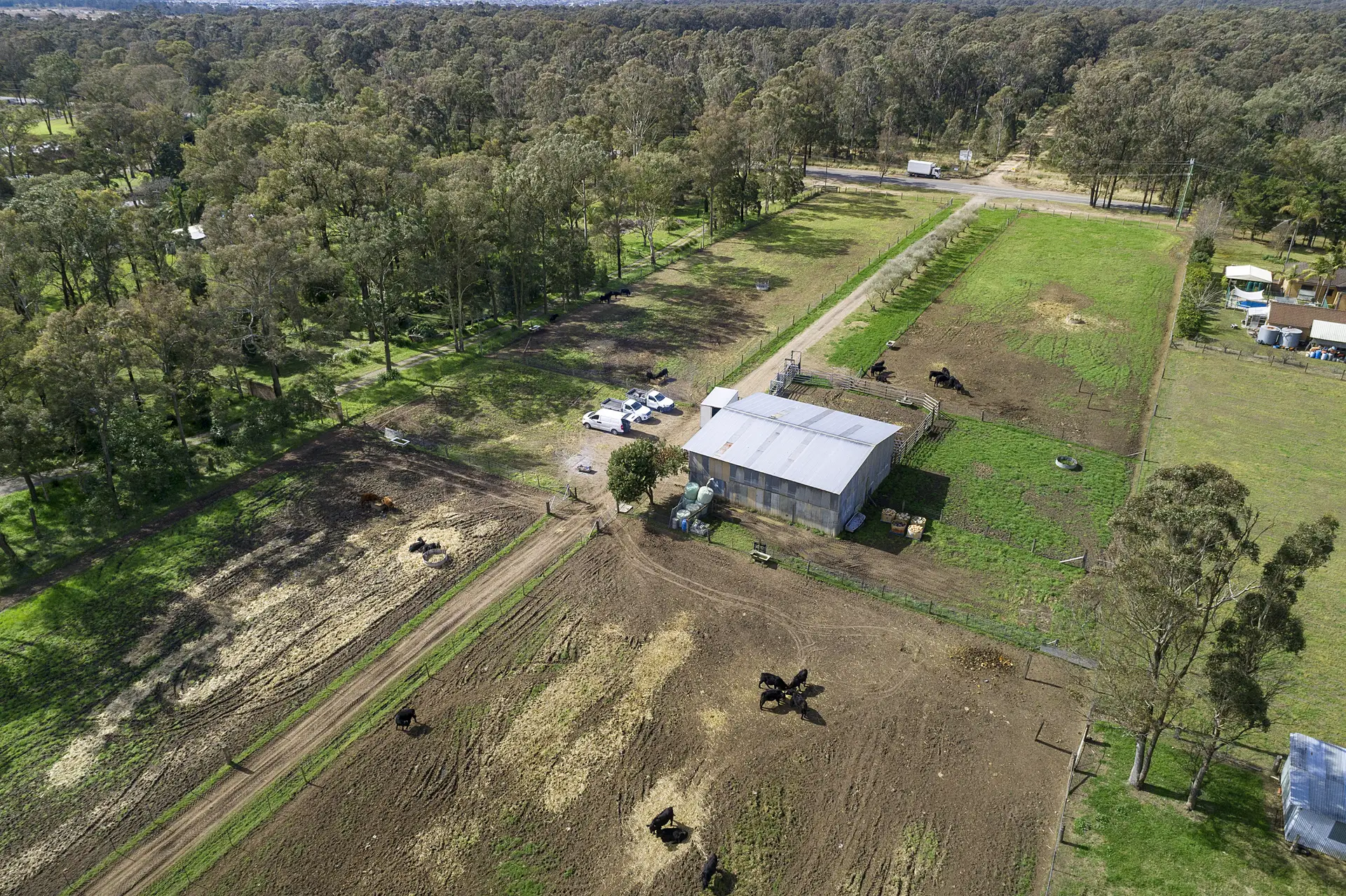 50 Stony Creek Road, Shanes Park Sold by Cutcliffe Properties - image 1