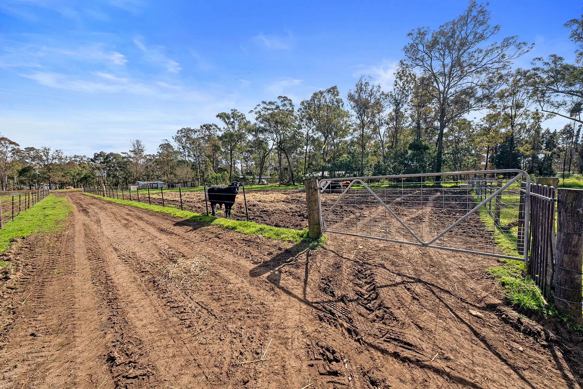 50 Stony Creek Road, Shanes Park Sold by Cutcliffe Properties - image 1