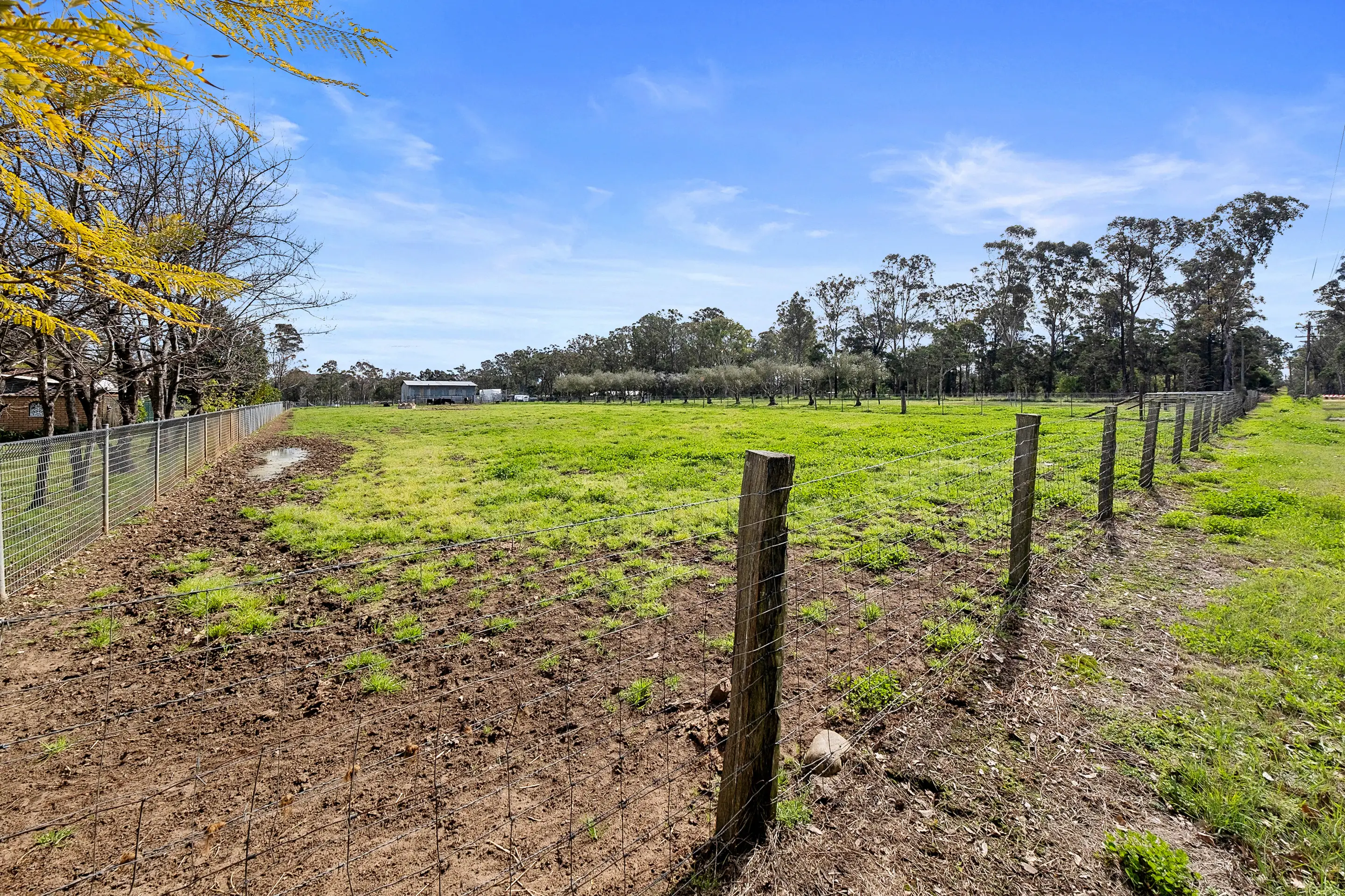 50 Stony Creek Road, Shanes Park Sold by Cutcliffe Properties - image 17