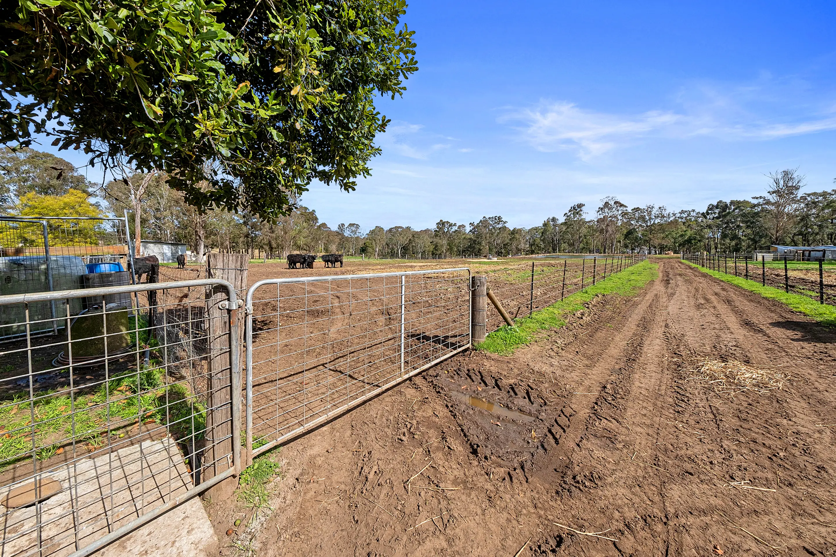 50 Stony Creek Road, Shanes Park Sold by Cutcliffe Properties - image 13