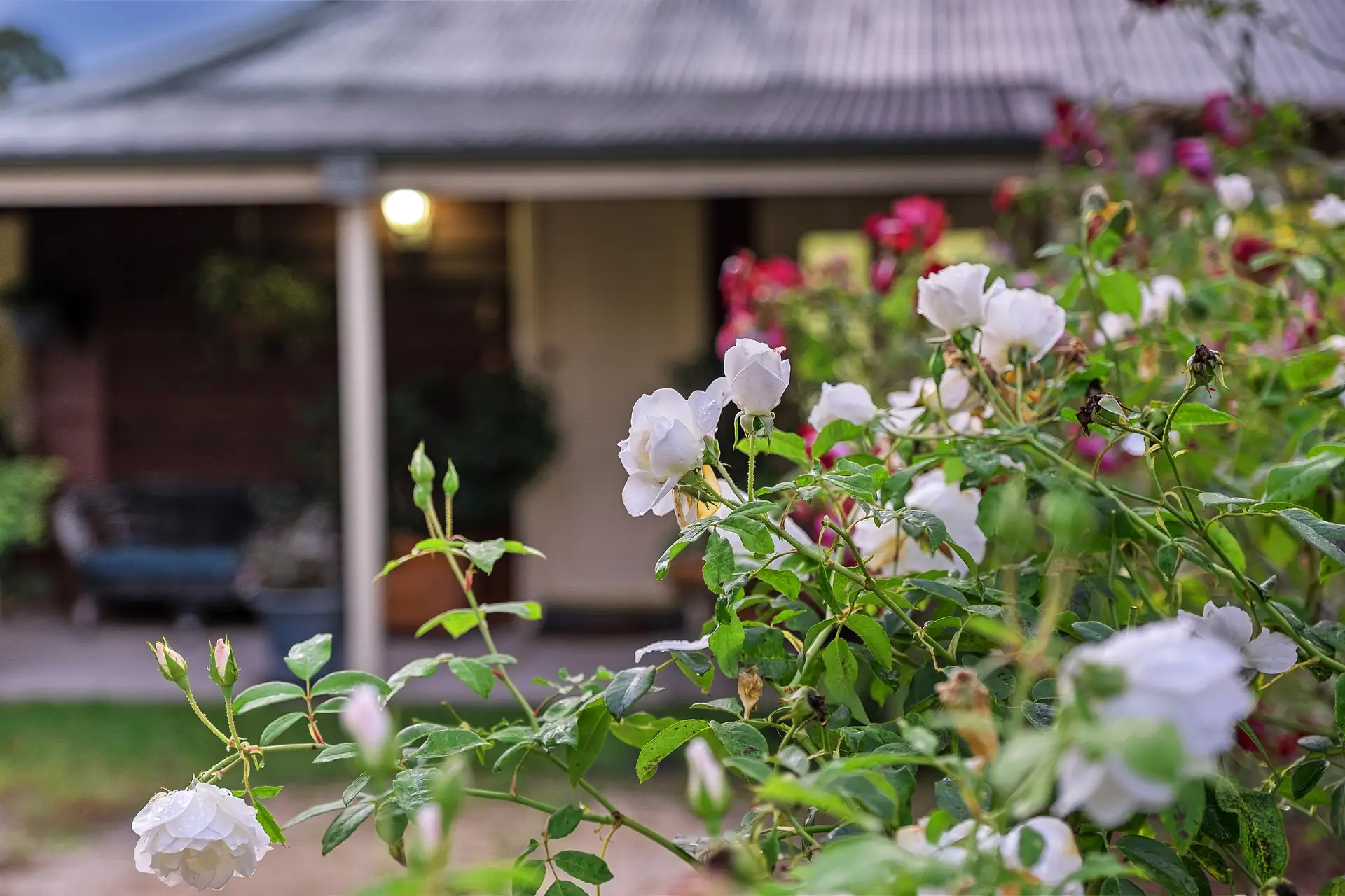 65 Paulls Road, South Maroota Sold by Cutcliffe Properties - image 1