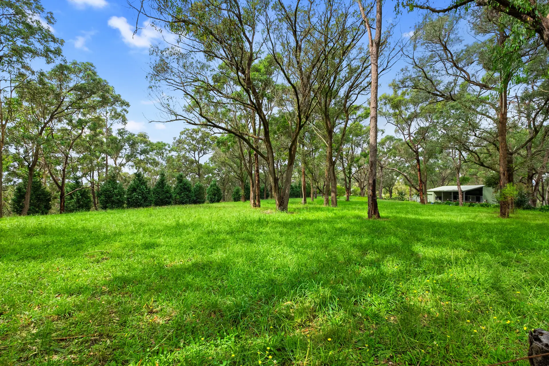 65 Paulls Road, South Maroota Sold by Cutcliffe Properties - image 1