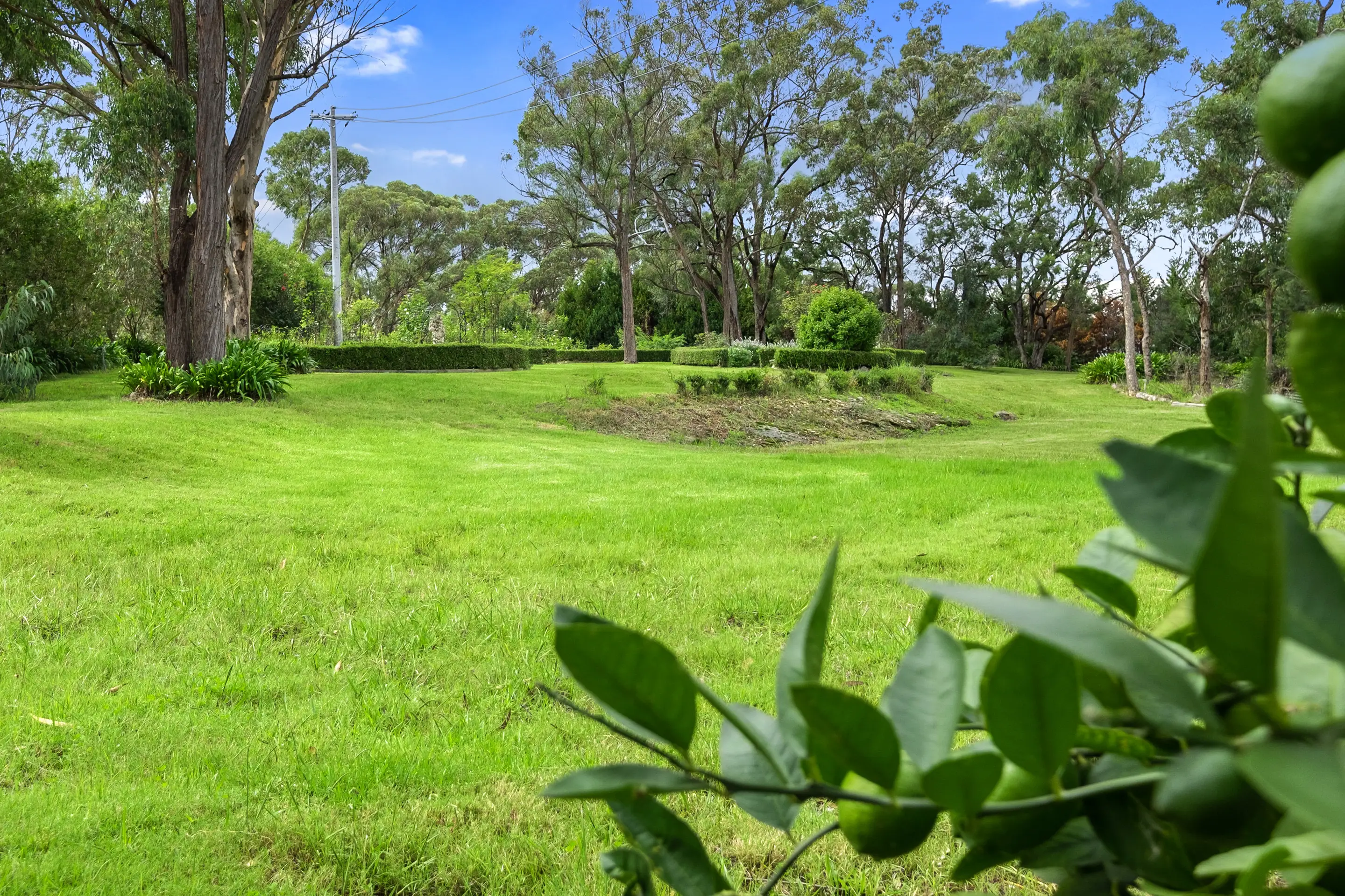 65 Paulls Road, South Maroota Sold by Cutcliffe Properties - image 19