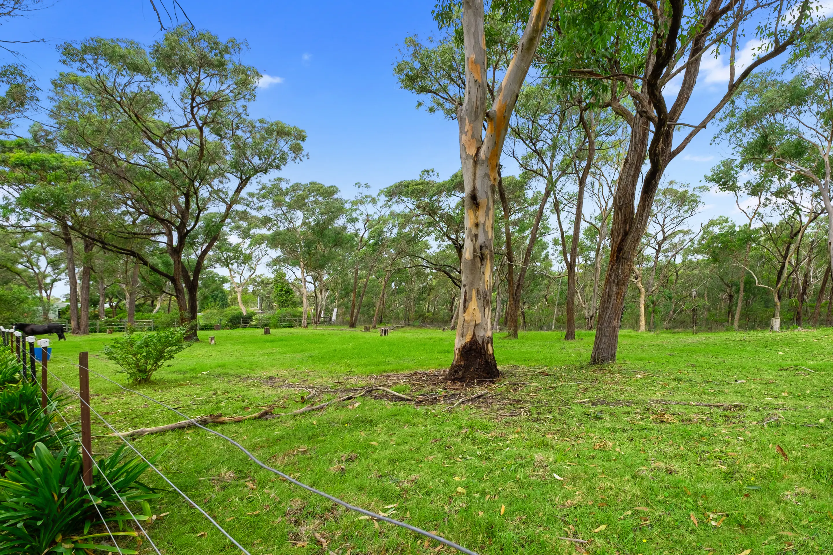 65 Paulls Road, South Maroota Sold by Cutcliffe Properties - image 15