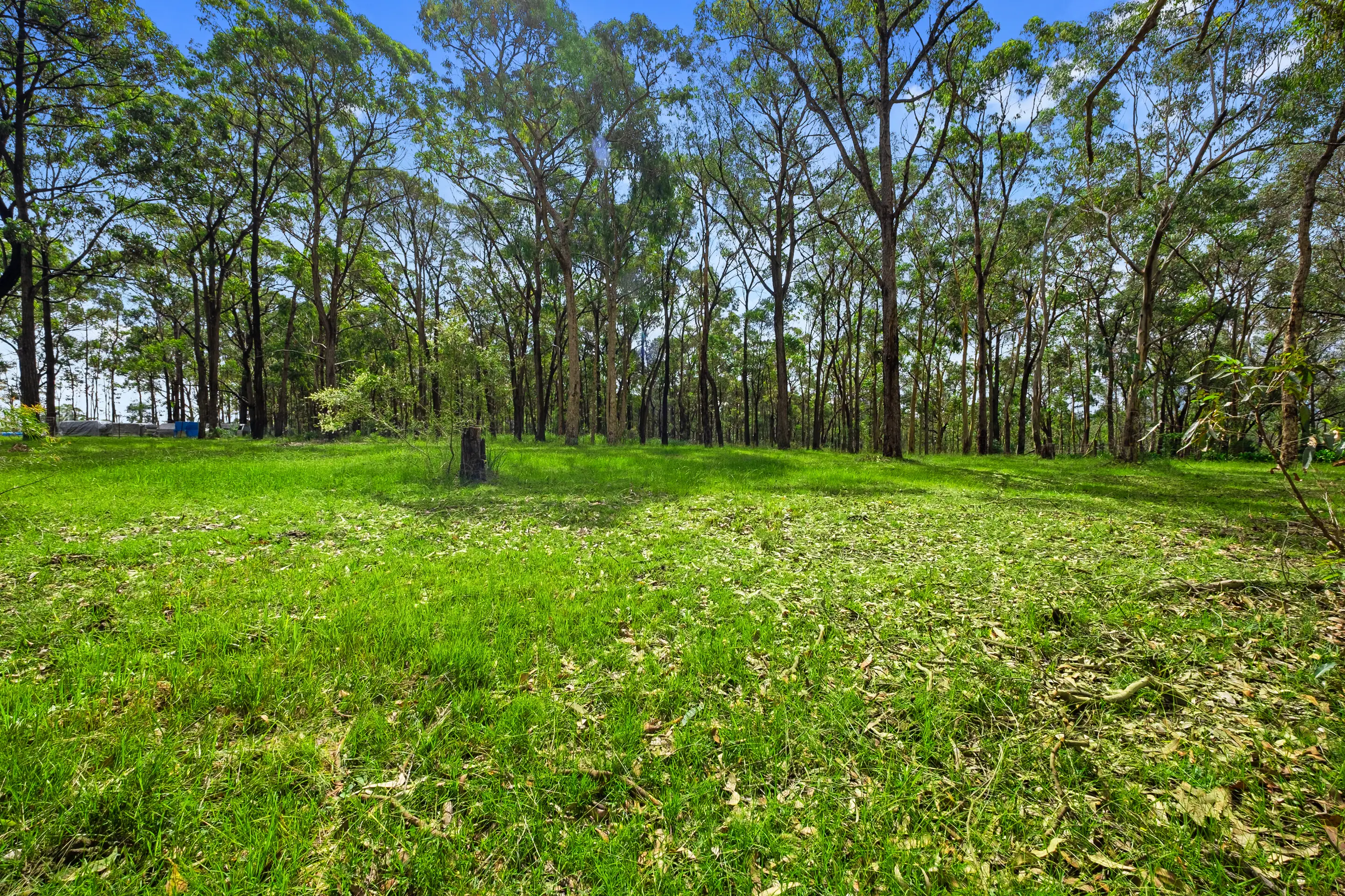65 Paulls Road, South Maroota Sold by Cutcliffe Properties - image 16