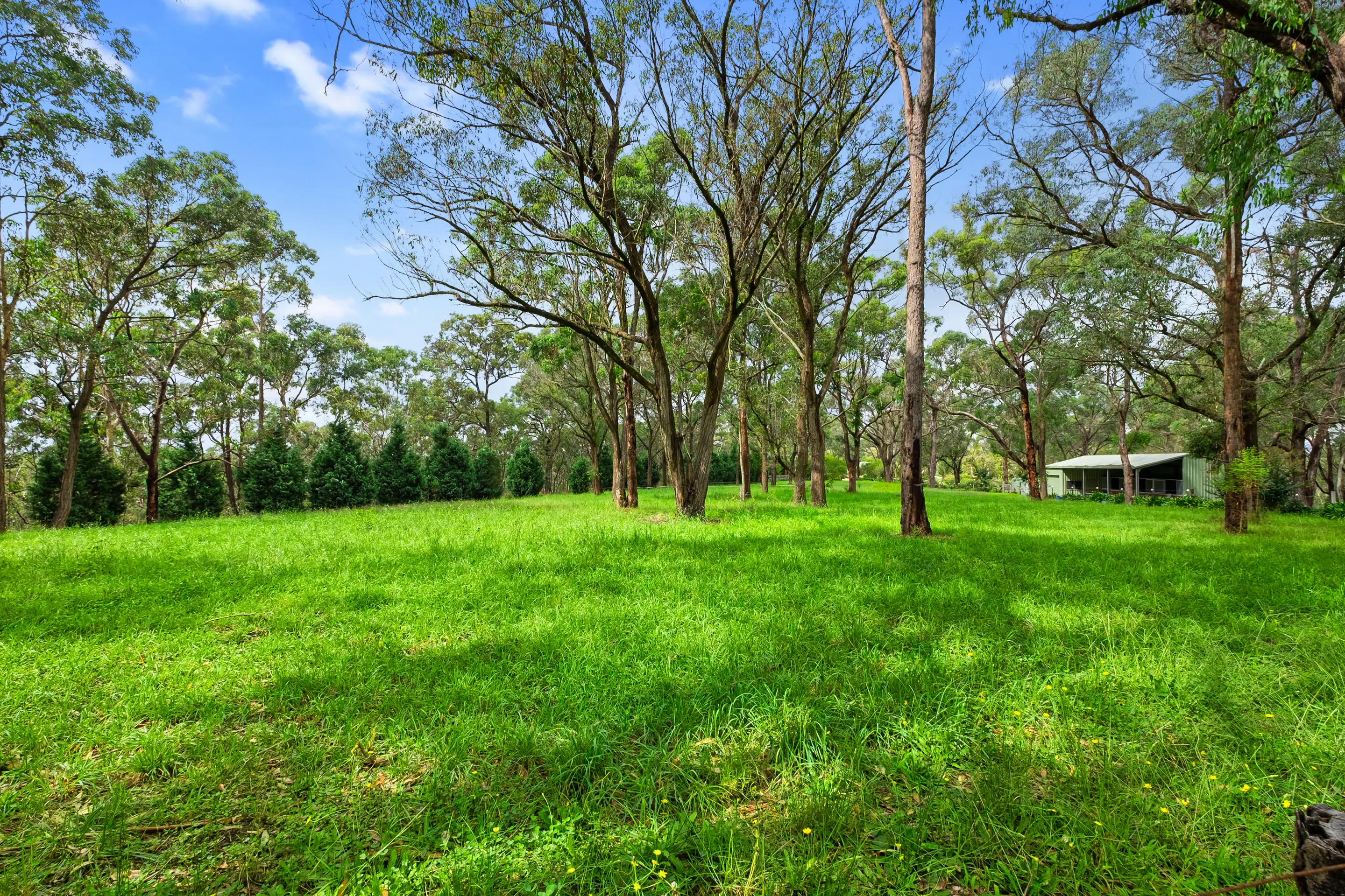 65 Paulls Road, South Maroota Sold by Cutcliffe Properties - image 5