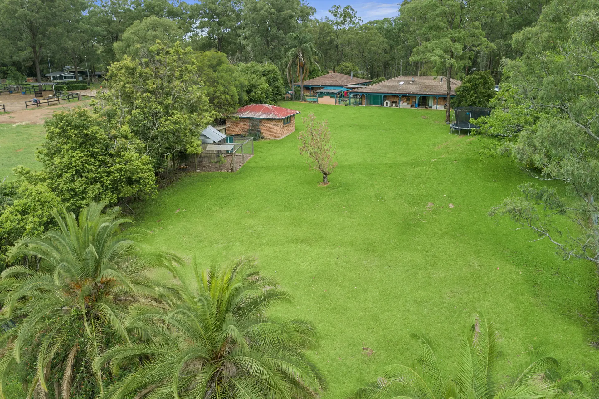 6 Kentucky Drive, Glossodia Sold by Cutcliffe Properties - image 1