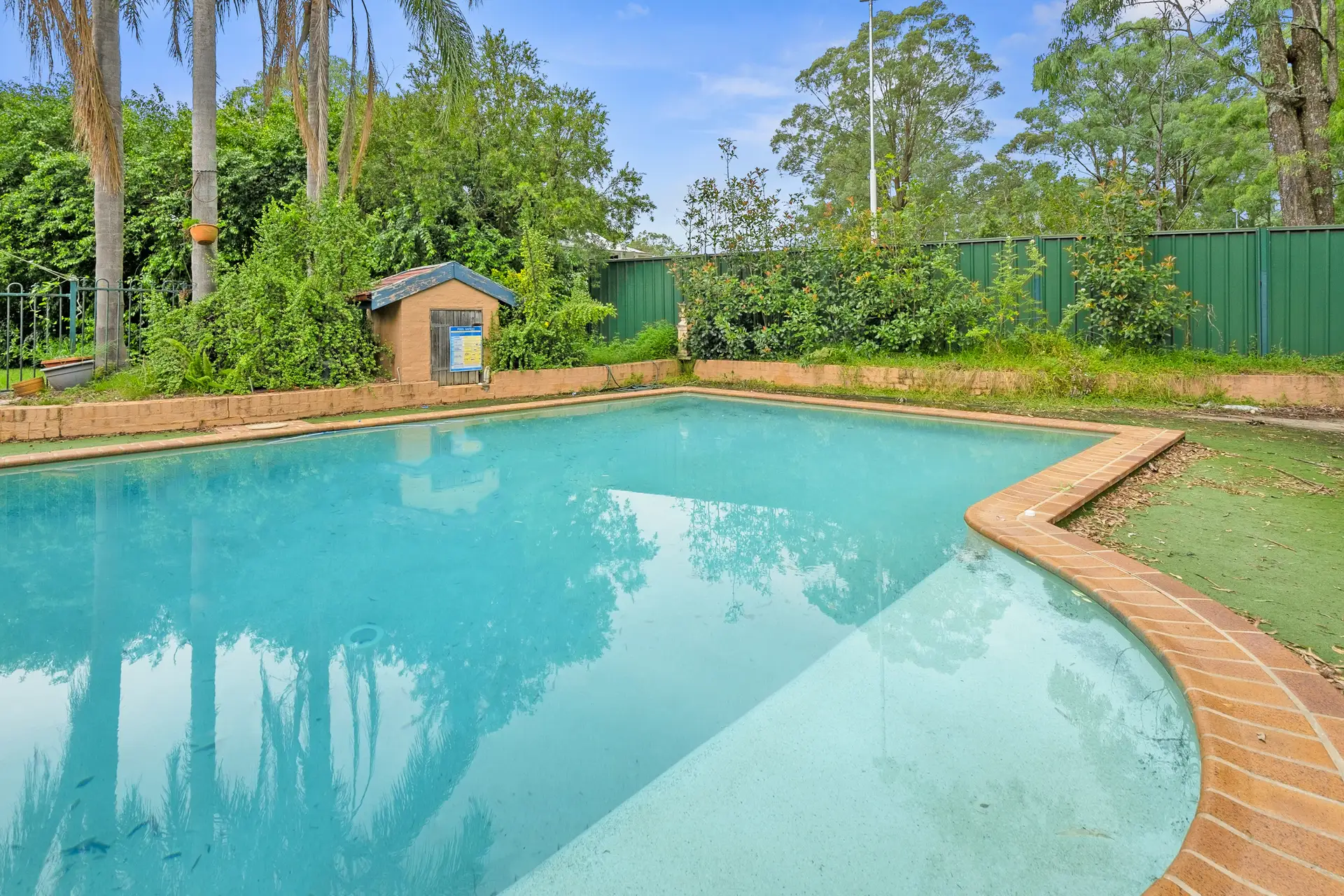 6 Kentucky Drive, Glossodia Sold by Cutcliffe Properties - image 1