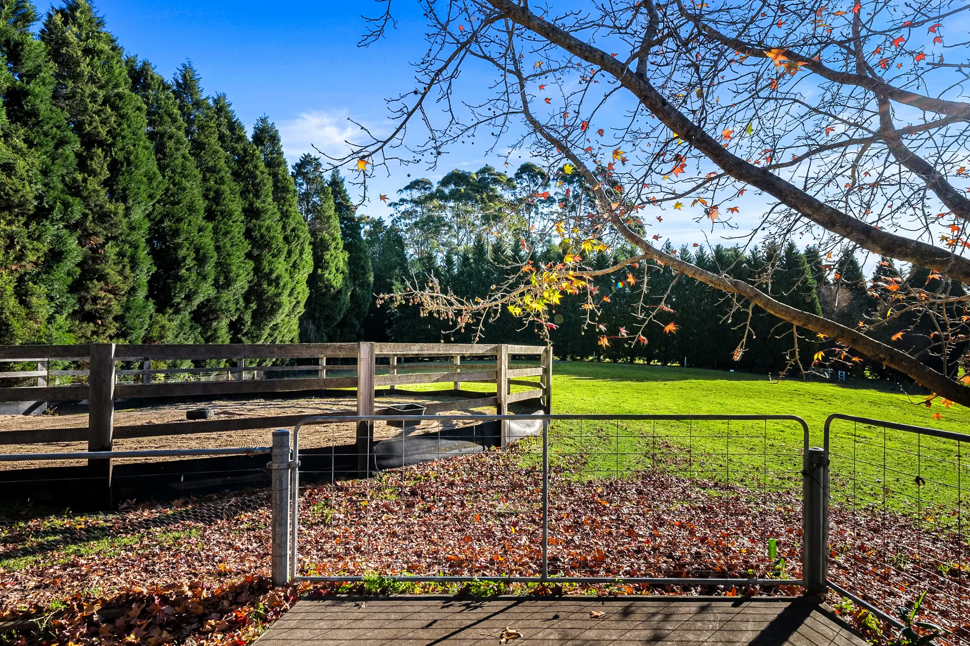33 Bean Lane, Mountain Lagoon Sold by Cutcliffe Properties - image 1
