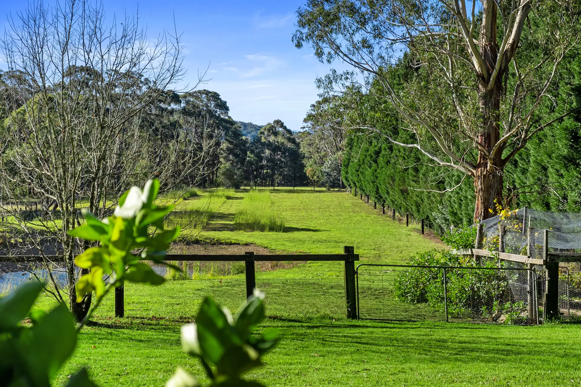 33 Bean Lane, Mountain Lagoon Sold by Cutcliffe Properties - image 1