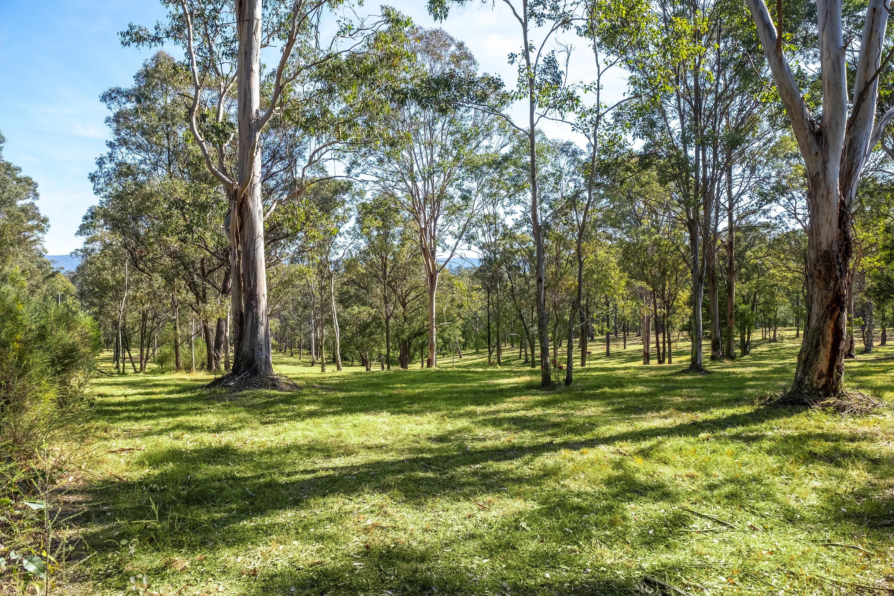 Proposed Lot 12 Of 321A East Kurrajong Road, East Kurrajong Sold by Cutcliffe Properties - image 9