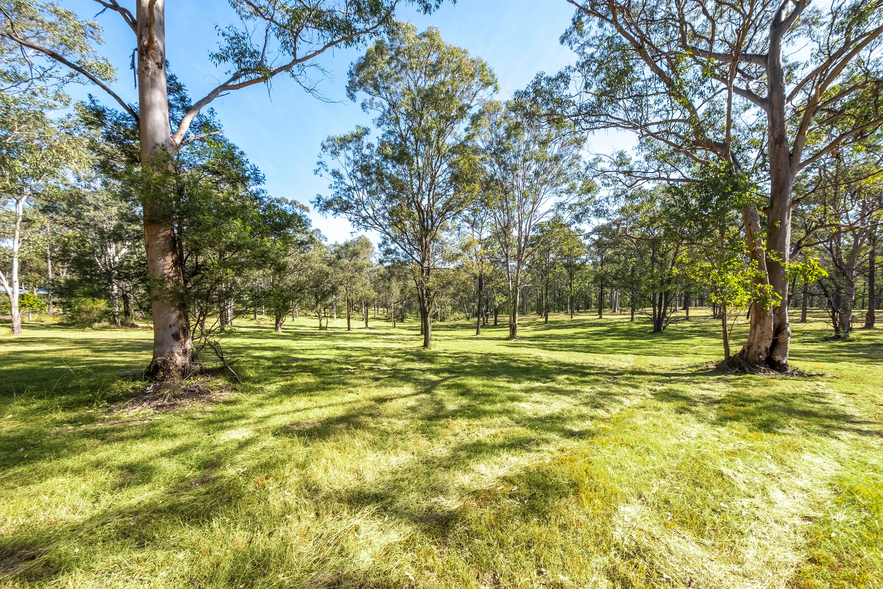 Proposed Lot 12 Of 321A East Kurrajong Road, East Kurrajong Sold by Cutcliffe Properties - image 4