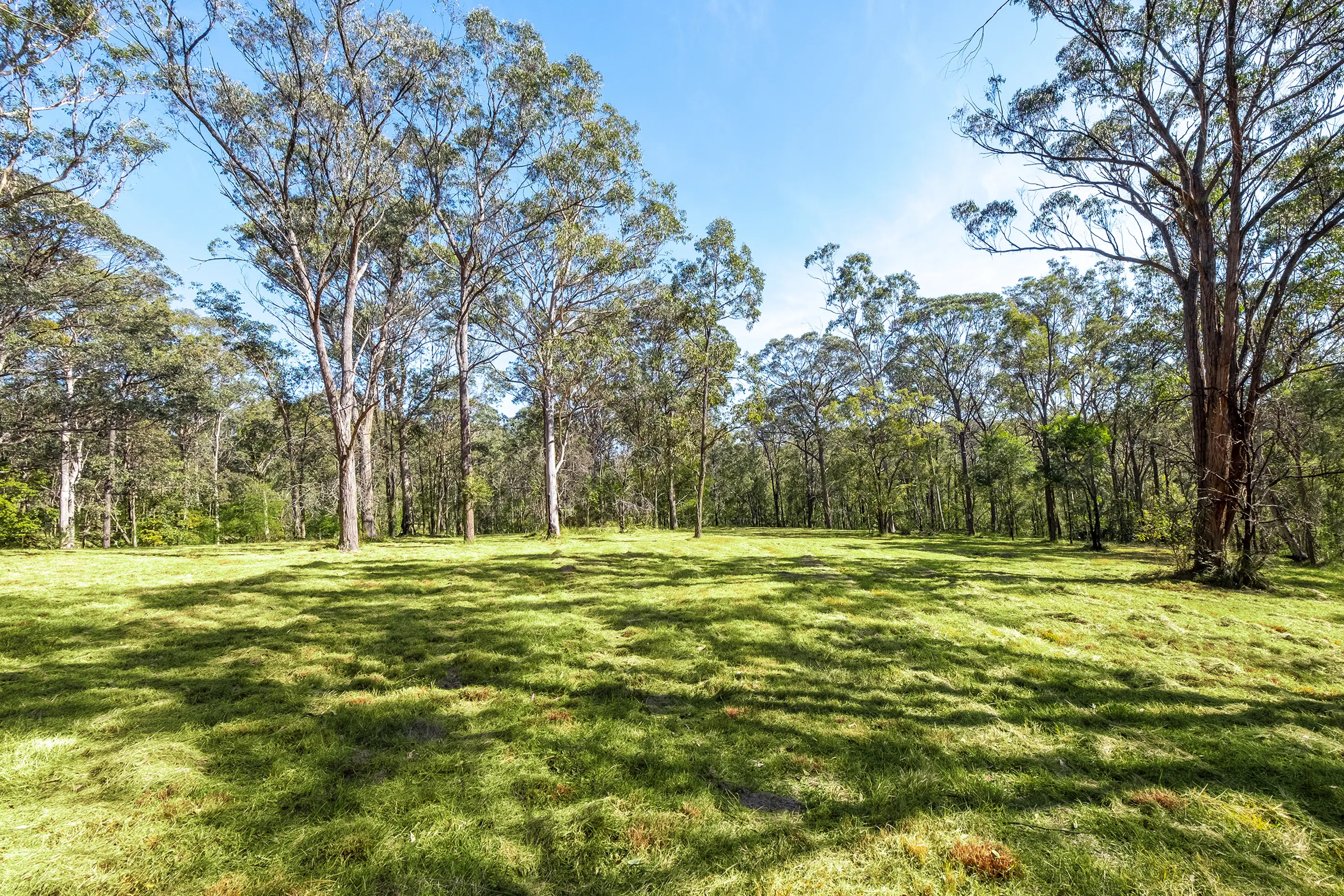 Proposed Lot 12 Of 321A East Kurrajong Road, East Kurrajong Sold by Cutcliffe Properties - image 7