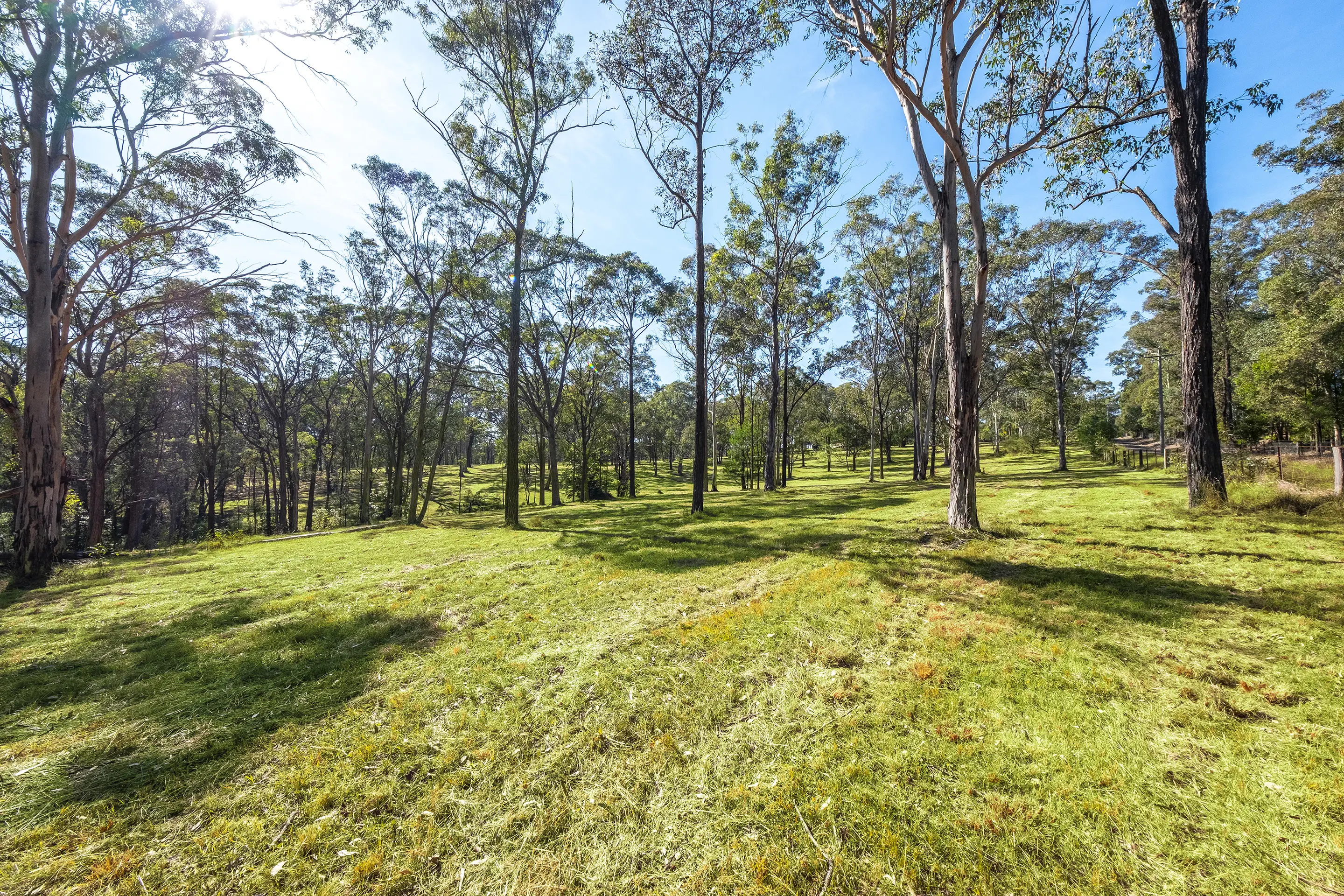 Proposed Lot 12 Of 321A East Kurrajong Road, East Kurrajong Sold by Cutcliffe Properties - image 8