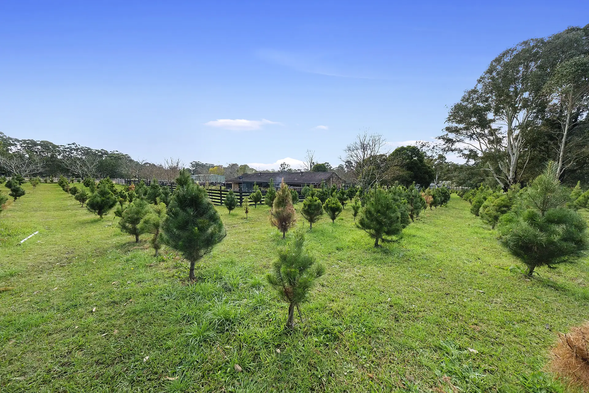 18 Mark Road, Nelson Sold by Cutcliffe Properties - image 1