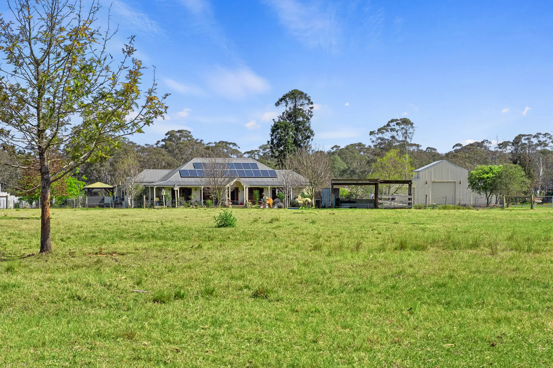844-848 Richmond Road, Berkshire Park Sold by Cutcliffe Properties - image 1
