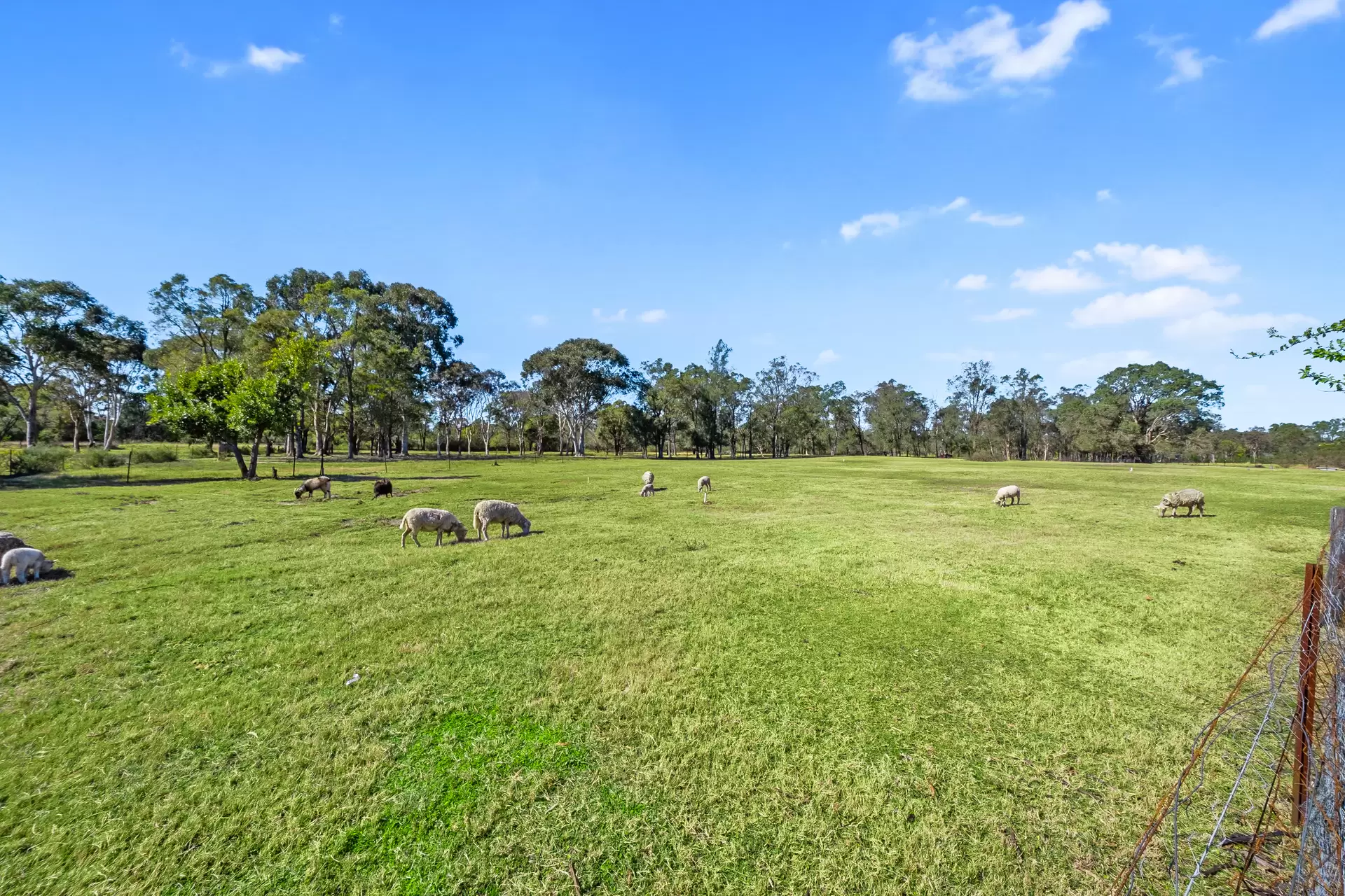 50A Persoonia Avenue, Agnes Banks Sold by Cutcliffe Properties - image 1