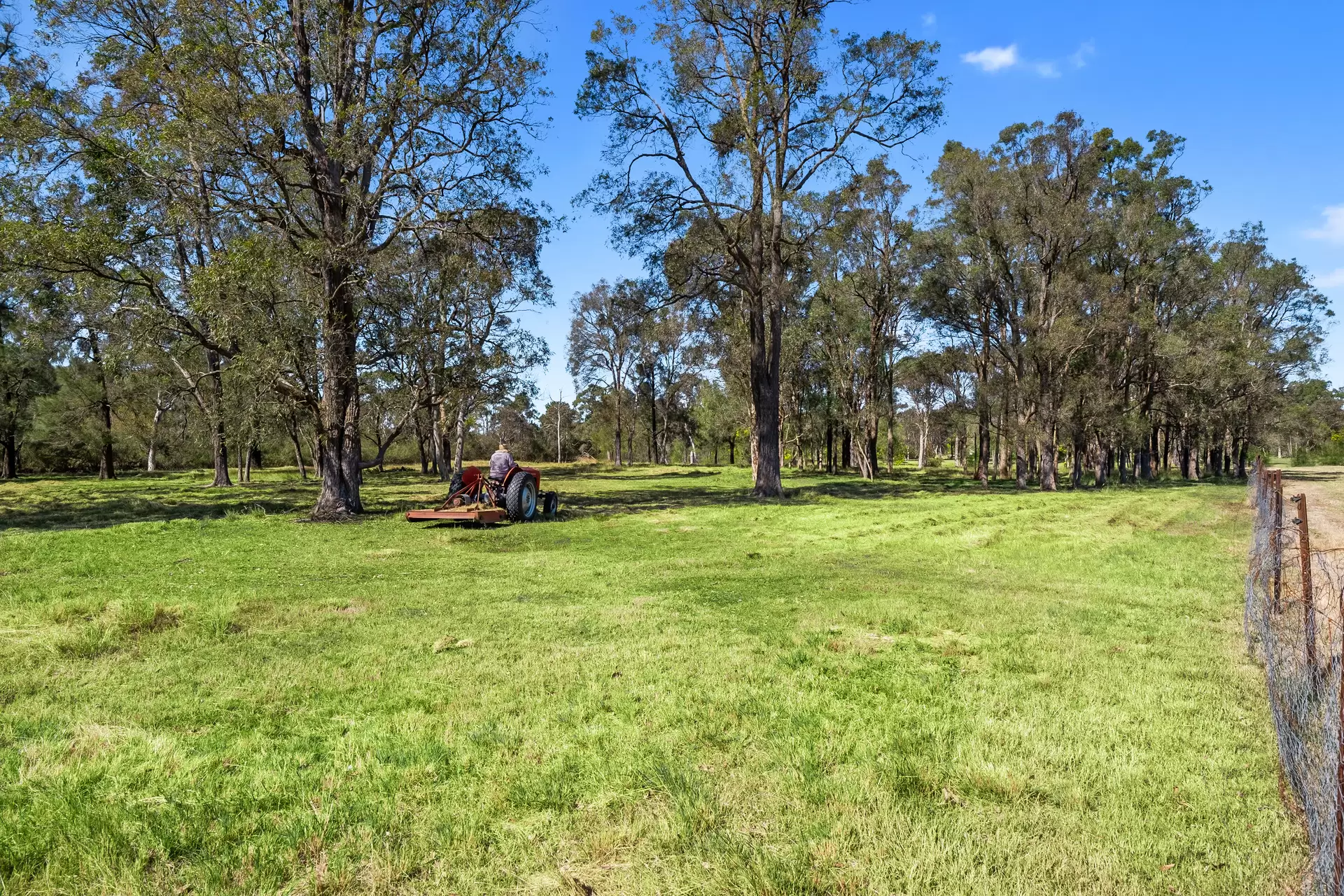 50A Persoonia Avenue, Agnes Banks Sold by Cutcliffe Properties - image 1