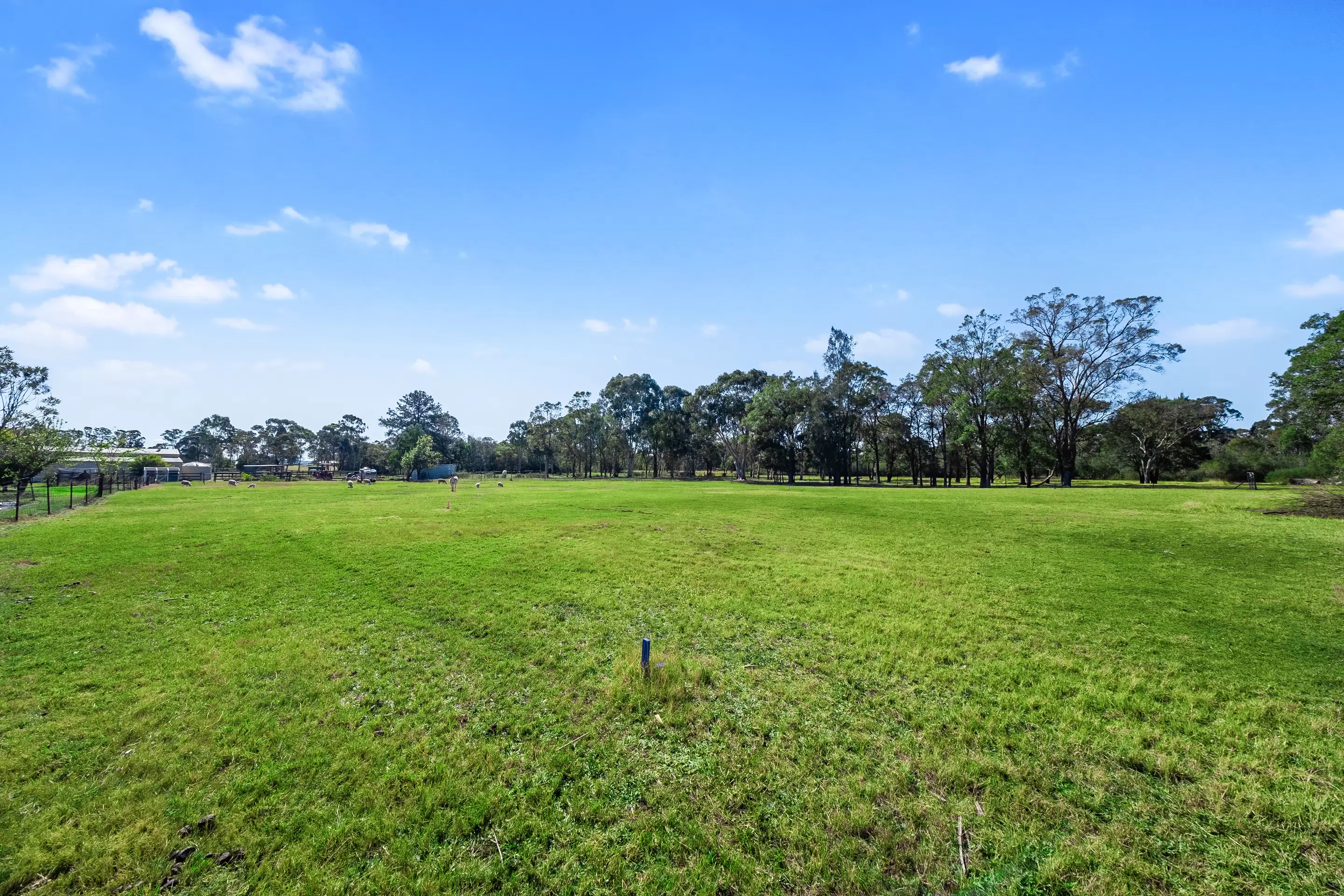 50A Persoonia Avenue, Agnes Banks Sold by Cutcliffe Properties - image 5