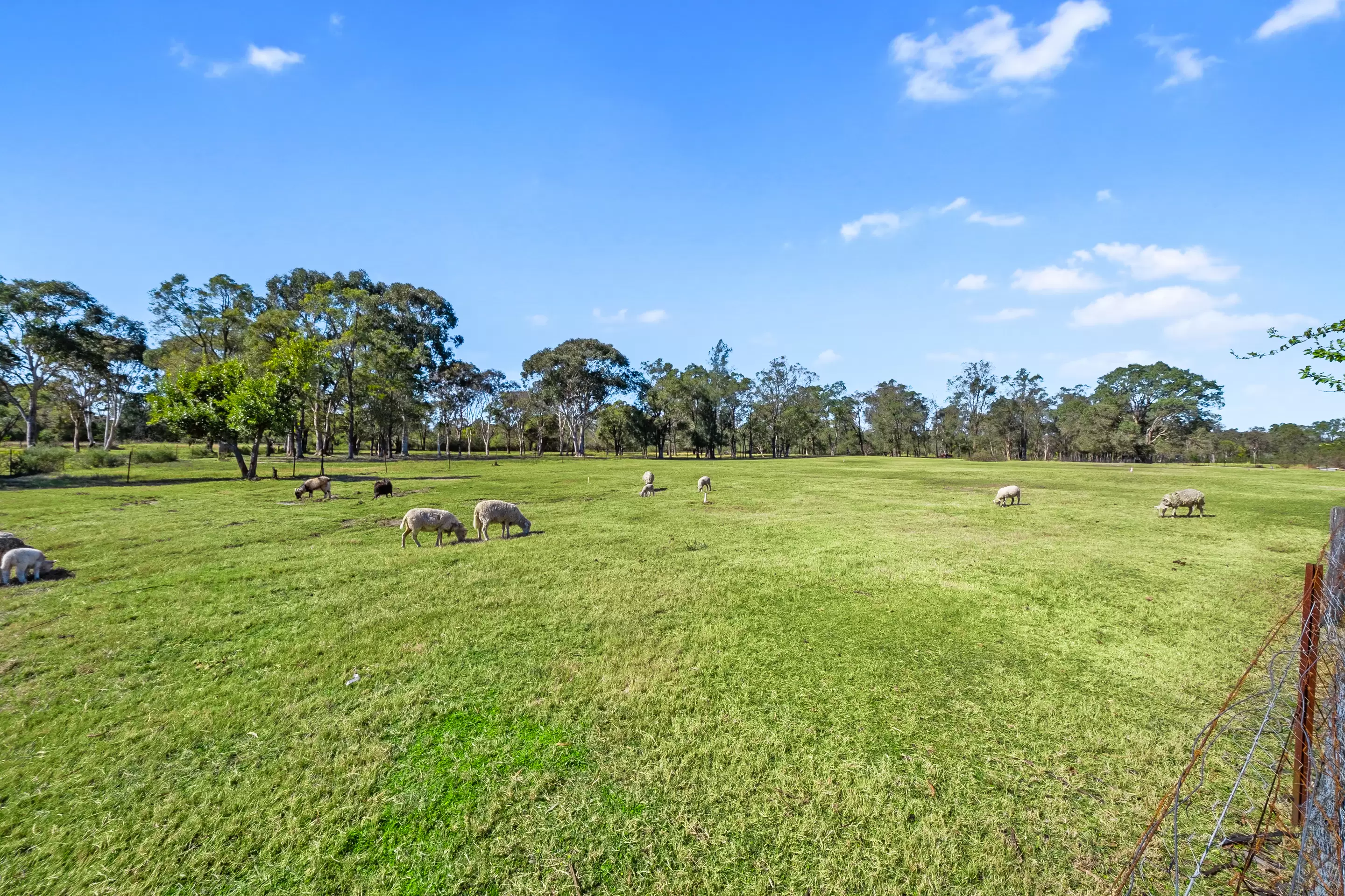50A Persoonia Avenue, Agnes Banks Sold by Cutcliffe Properties - image 2