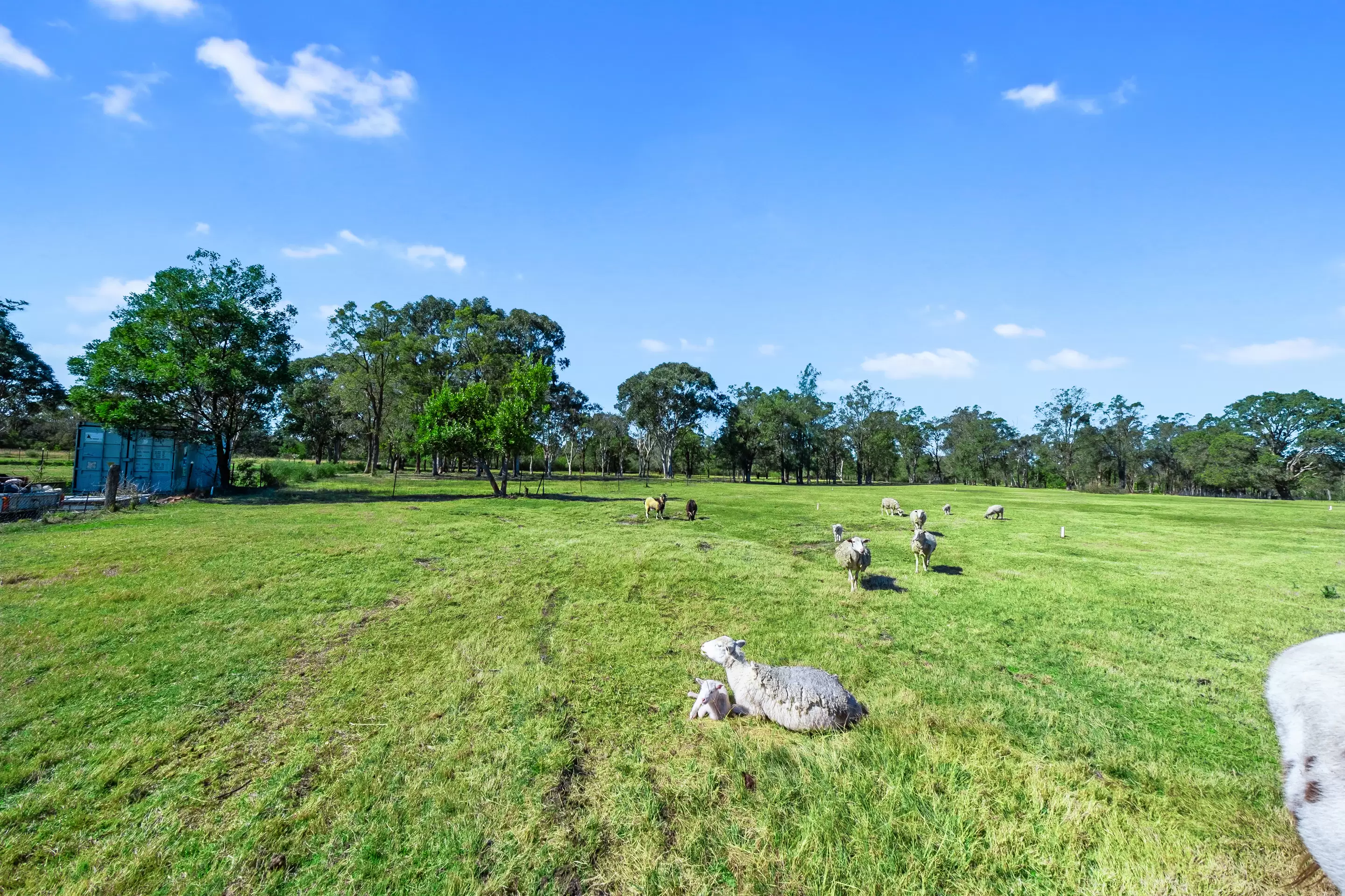 50A Persoonia Avenue, Agnes Banks Sold by Cutcliffe Properties - image 6