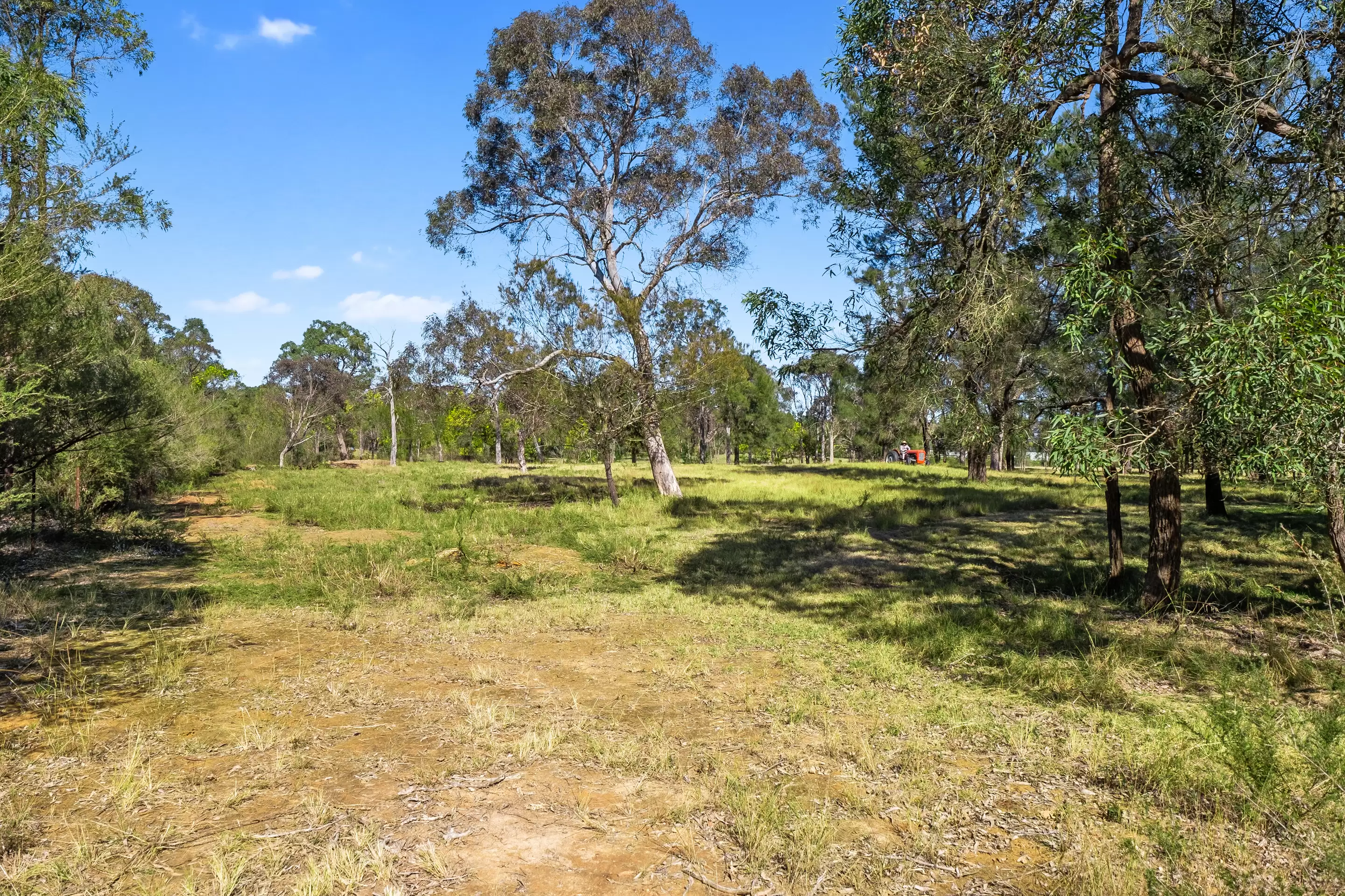 50A Persoonia Avenue, Agnes Banks Sold by Cutcliffe Properties - image 8
