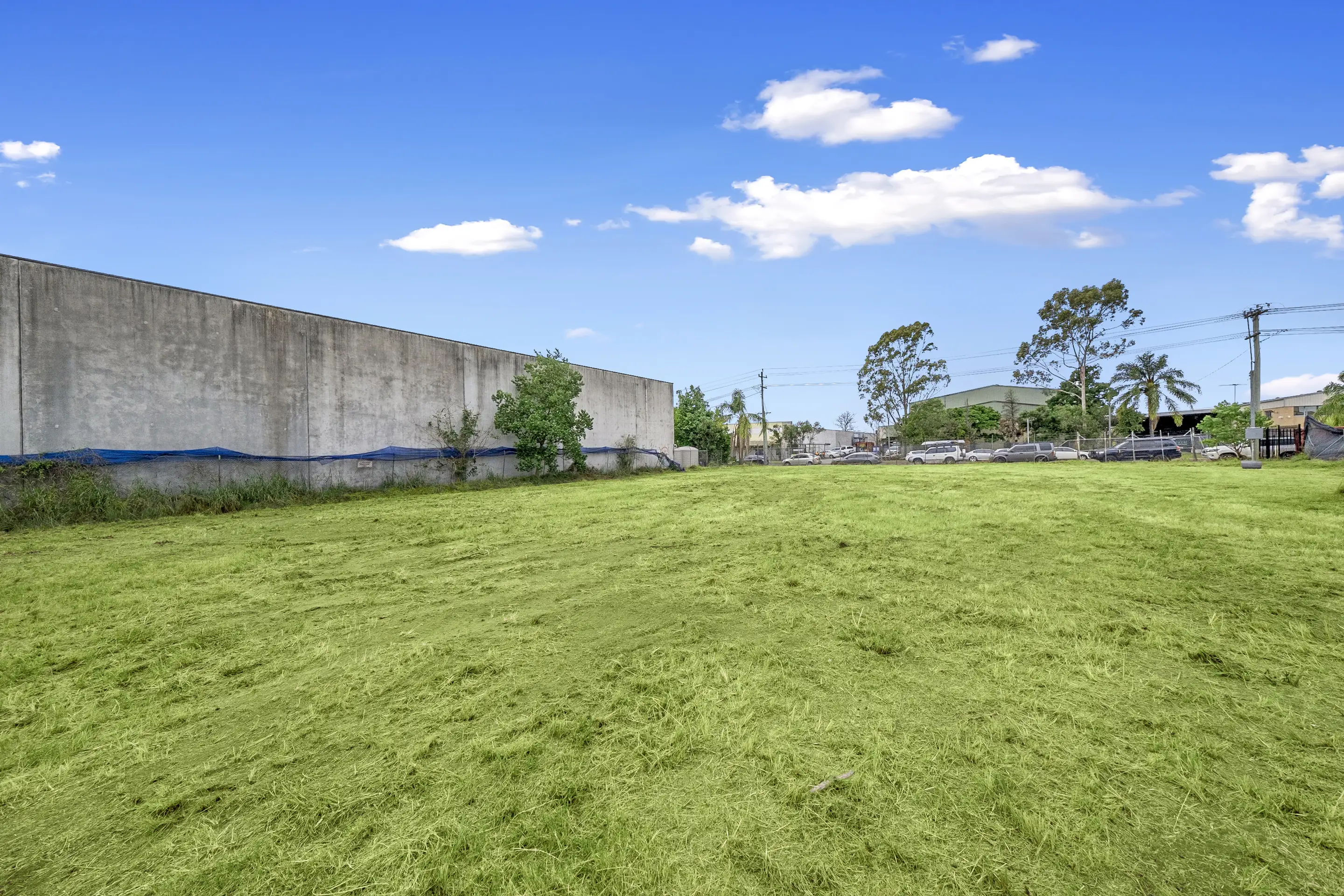 33 Walker Street, South Windsor Sold by Cutcliffe Properties - image 5