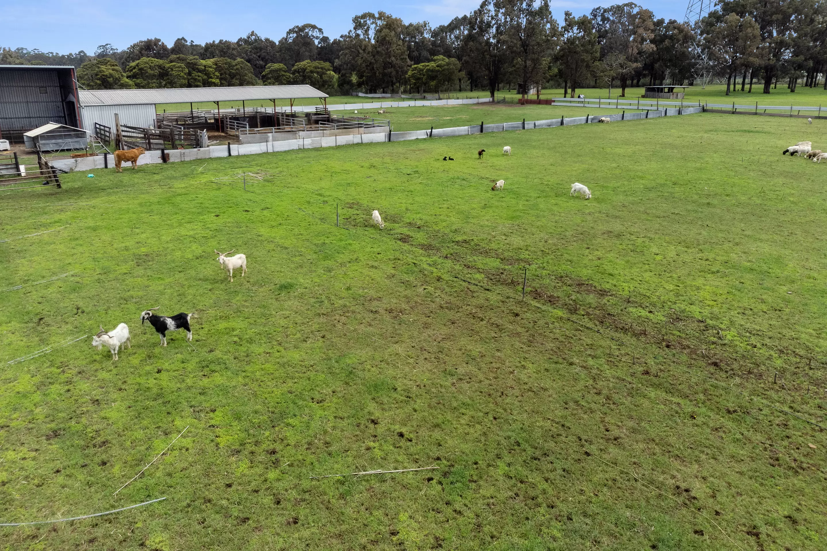Mulgrave For Sale by Cutcliffe Properties - image 6