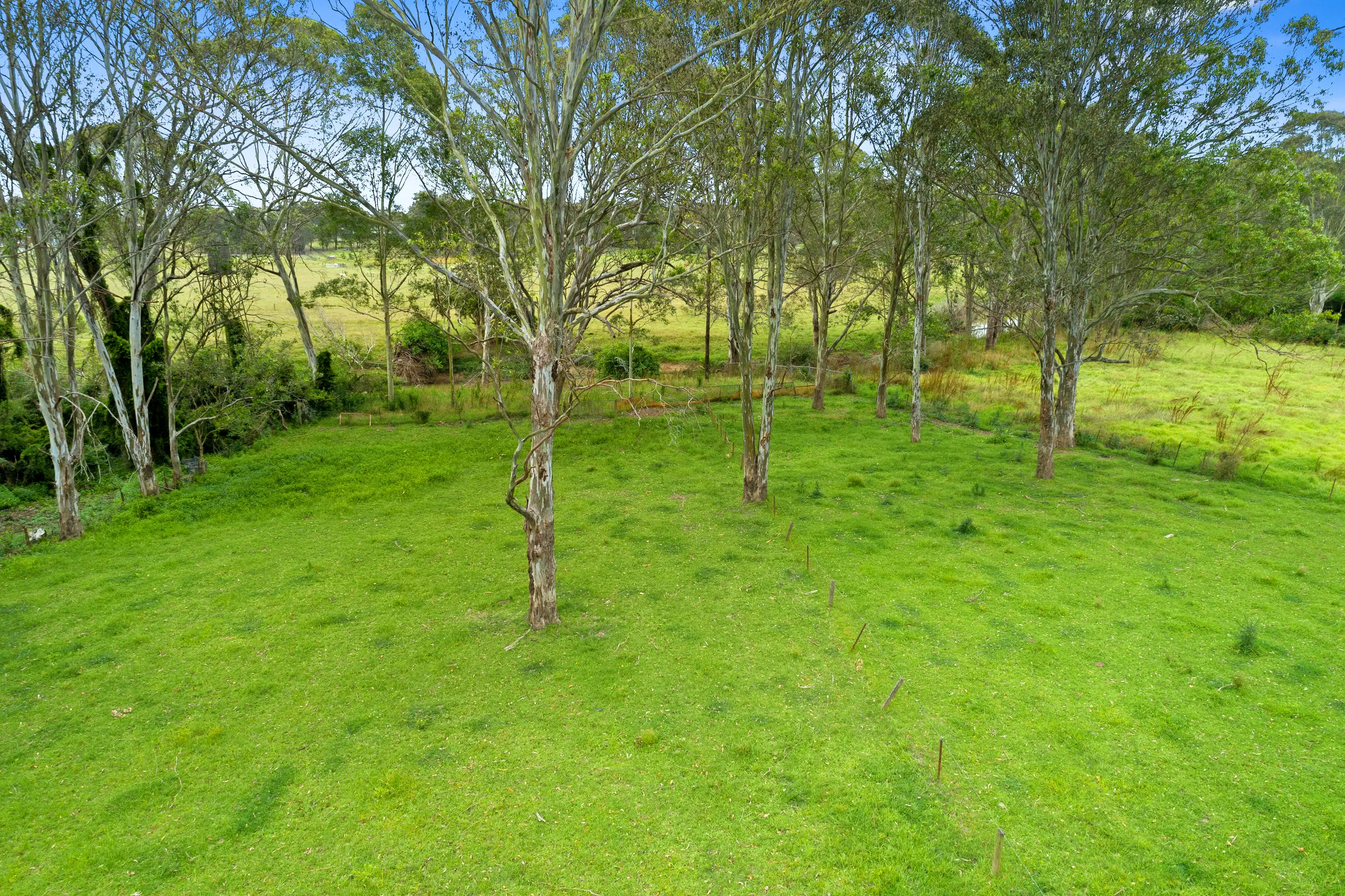 20 Shane Park Road, Shanes Park Sold by Cutcliffe Properties - image 6