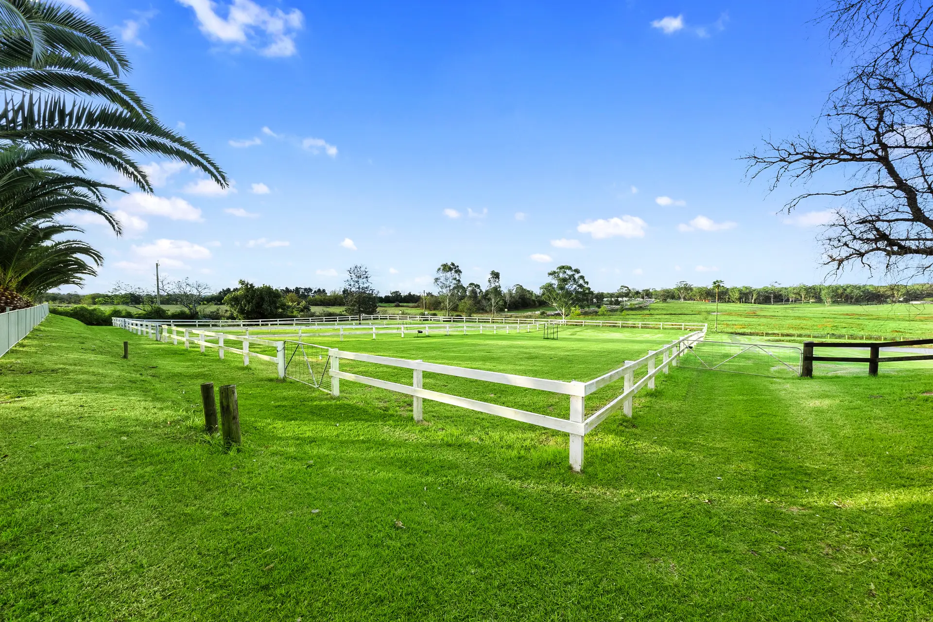 158 Pitt Town Road, McGraths Hill Sold by Cutcliffe Properties - image 1