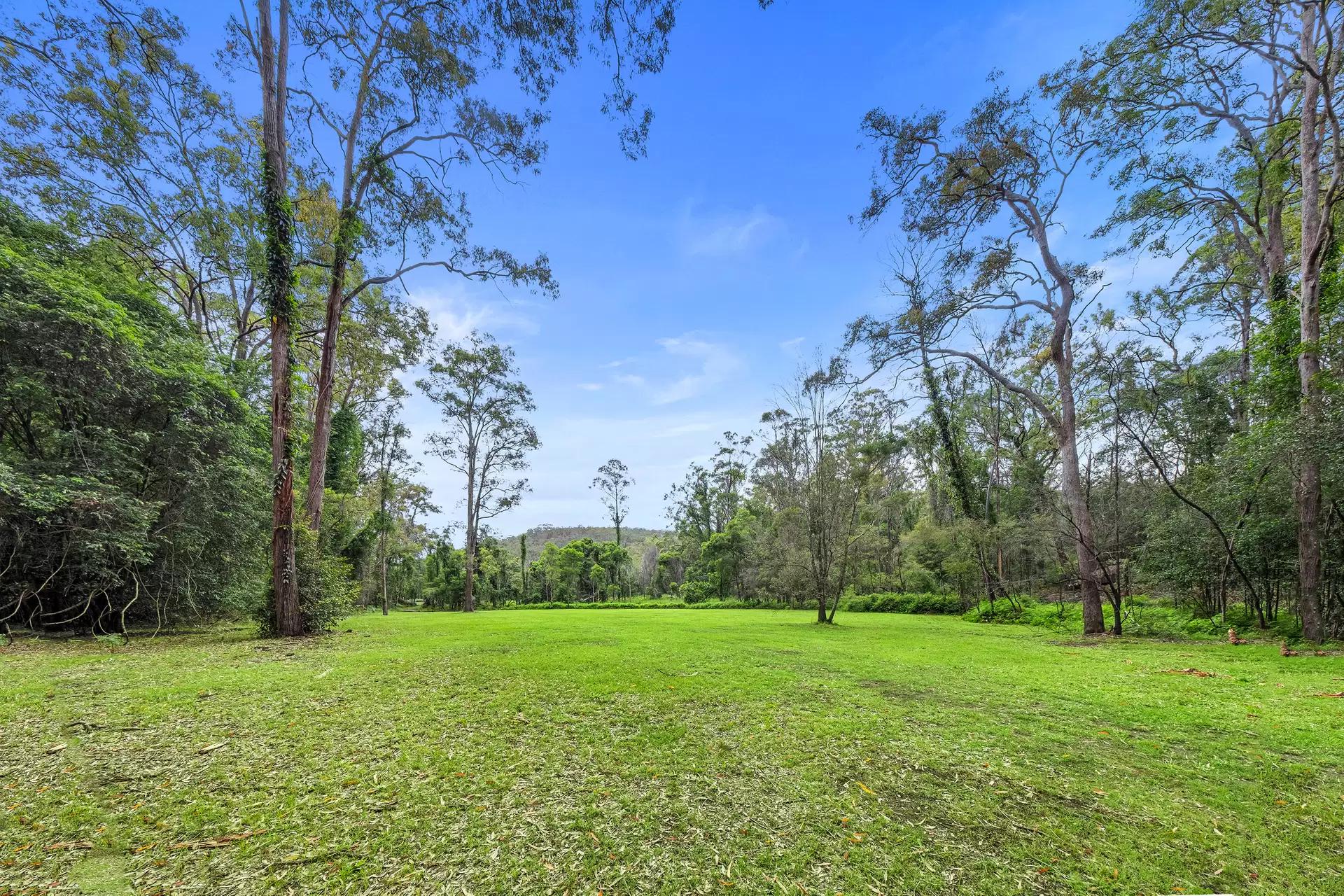 639 Greens Road, Lower Portland Sold by Cutcliffe Properties - image 1