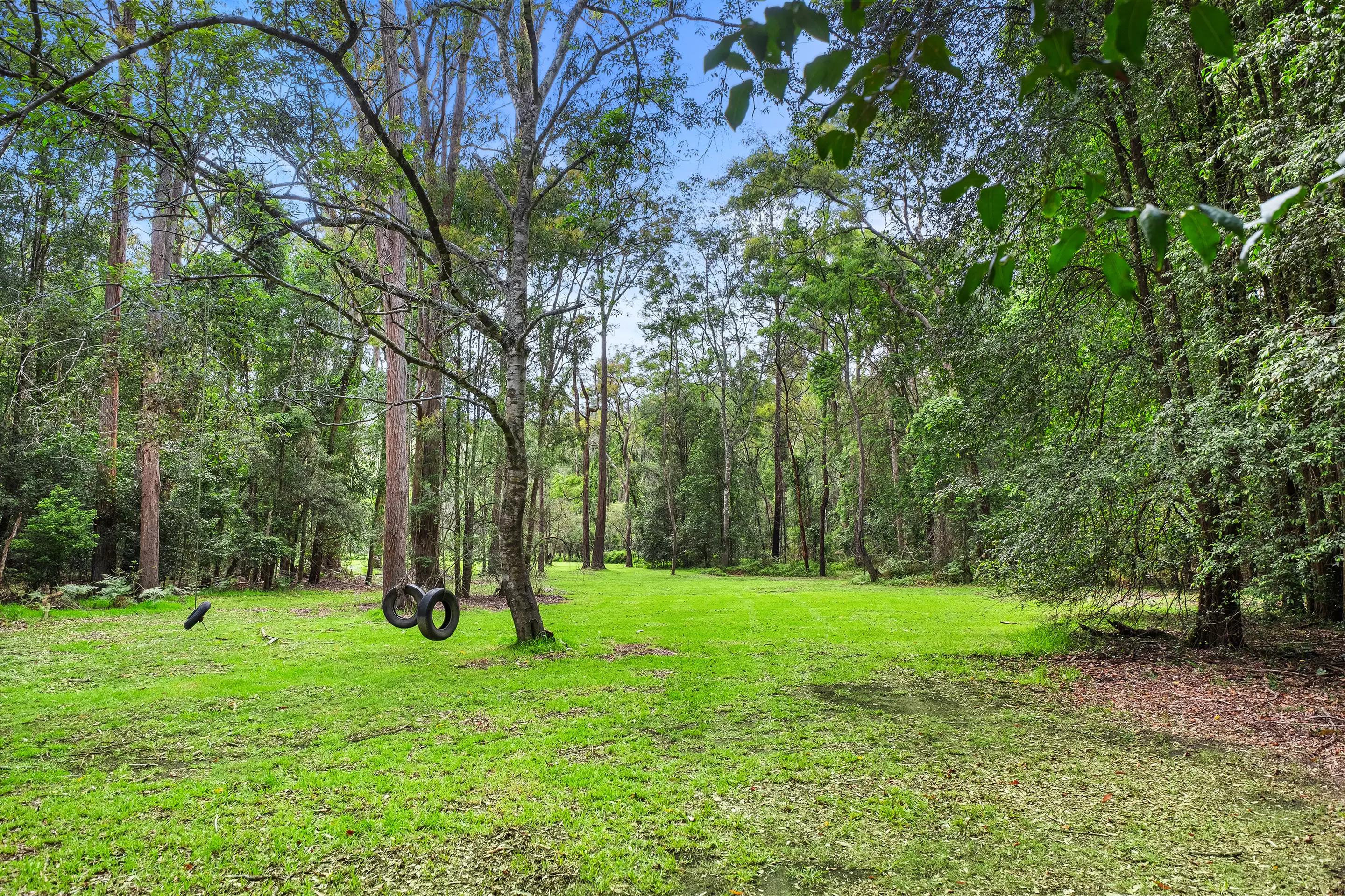 639 Greens Road, Lower Portland Sold by Cutcliffe Properties - image 19