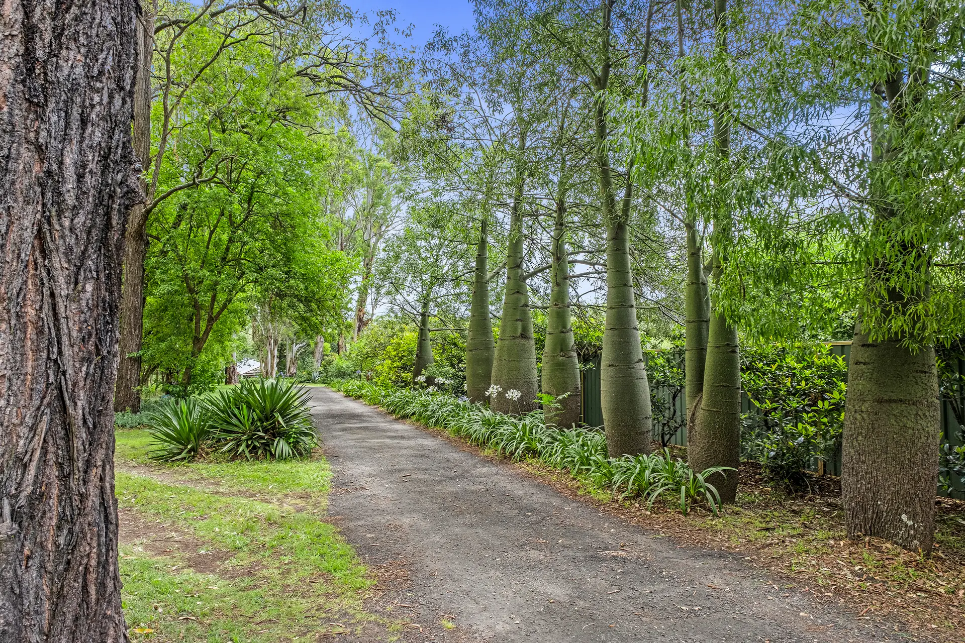 252 Springwood Road, Yarramundi Sold by Cutcliffe Properties - image 1