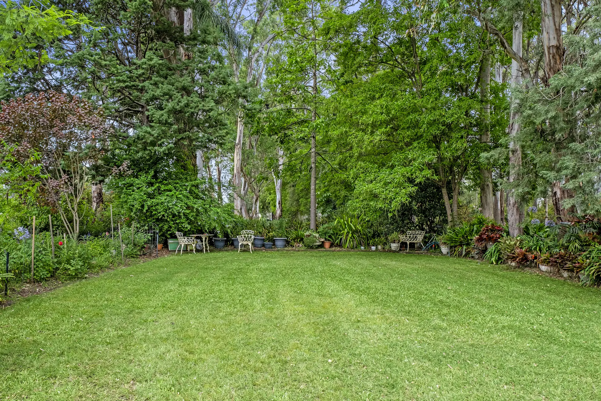 252 Springwood Road, Yarramundi Sold by Cutcliffe Properties - image 1