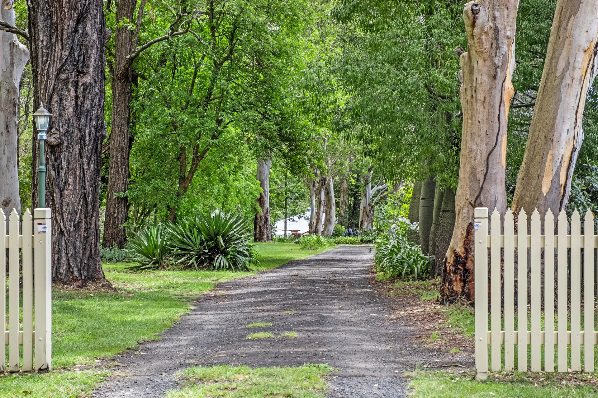 252 Springwood Road, Yarramundi Sold by Cutcliffe Properties - image 1