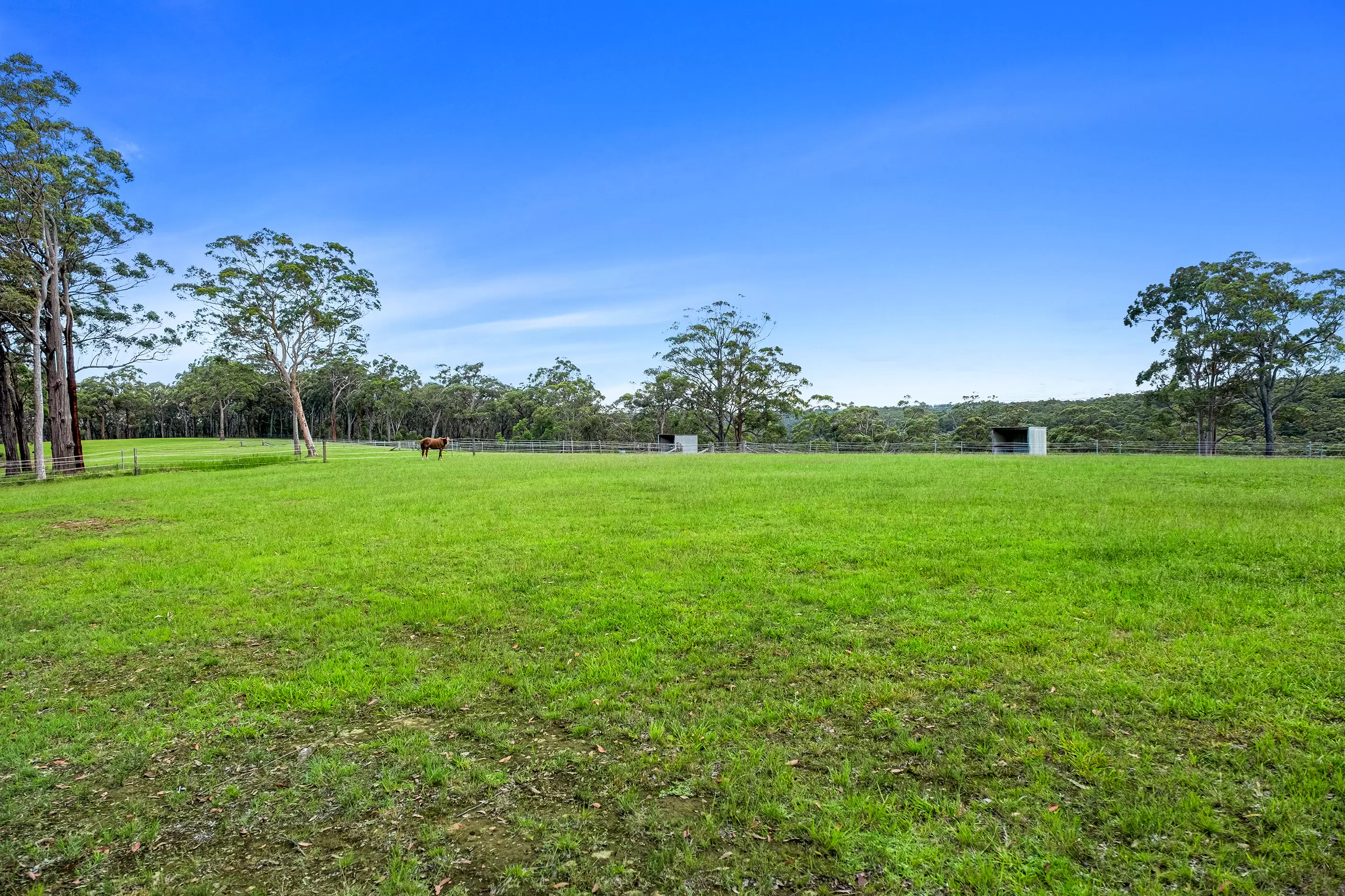 554 Mountain Lagoon Road, Bilpin Sold by Cutcliffe Properties - image 27